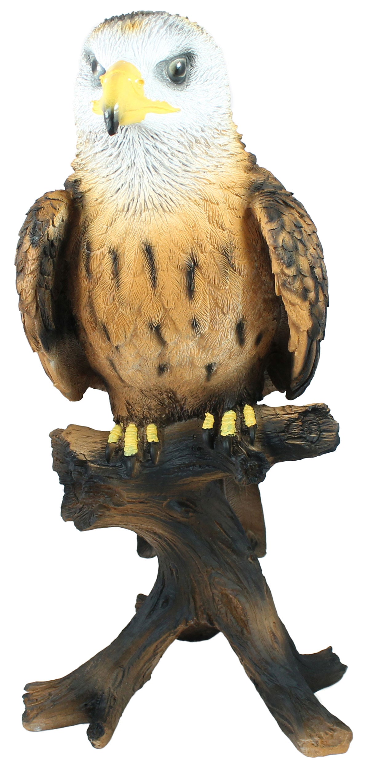Dekofigur Weißkopfseeadler Greifvogel Höhe 50 cm Tierfigur Gartenfigur Vogeldeko Gartendeko