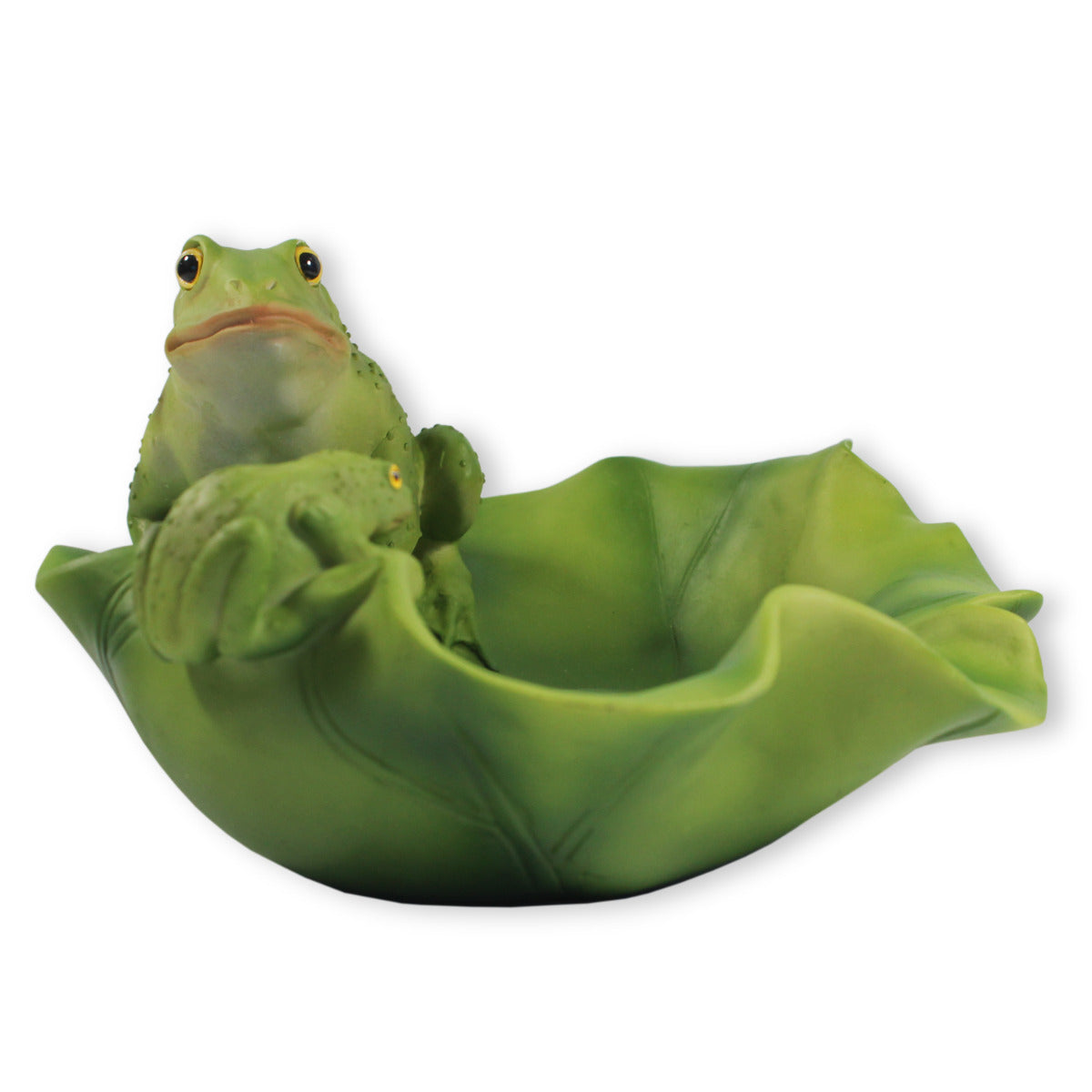 Vogeltränke Frosch Tränke Futterstelle Wildtiere Vogelbad