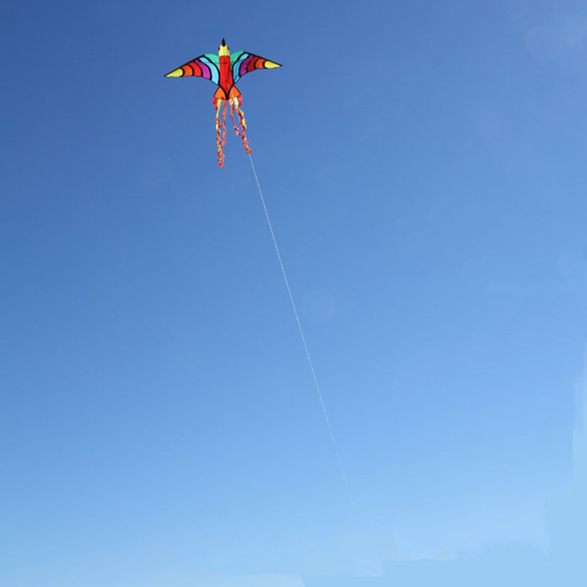 Kinderdrachen Einleiner Tropical Bird HQ Drachen