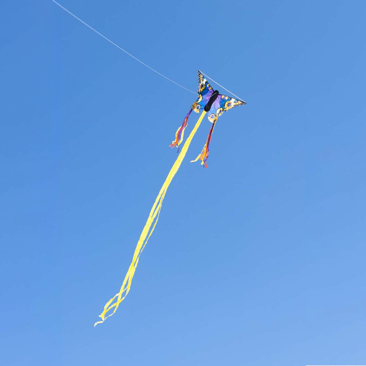 Kinderdrachen Einleiner Butterfly Kite Buckeye R Schmetterling HQ Drachen