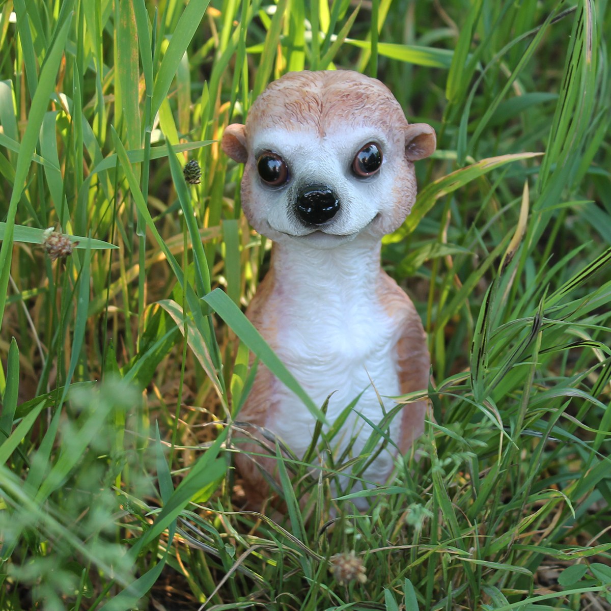 Erdmännchen Figur neugierig guckend Erdmännchen Gartenfigur 20 cm Erdmännchen Deko
