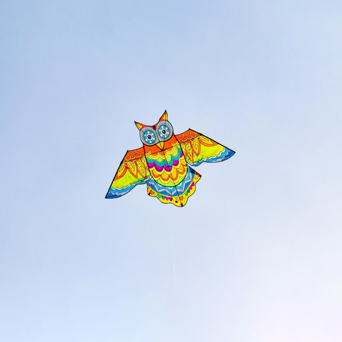 Kinderdrachen Einleiner Jazzy Owl Kite Eule HQ Drachen