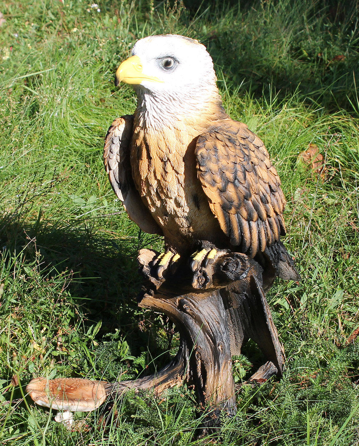 Dekofigur Weißkopfseeadler Greifvogel Höhe 50 cm Tierfigur Gartenfigur Vogeldeko Gartendeko