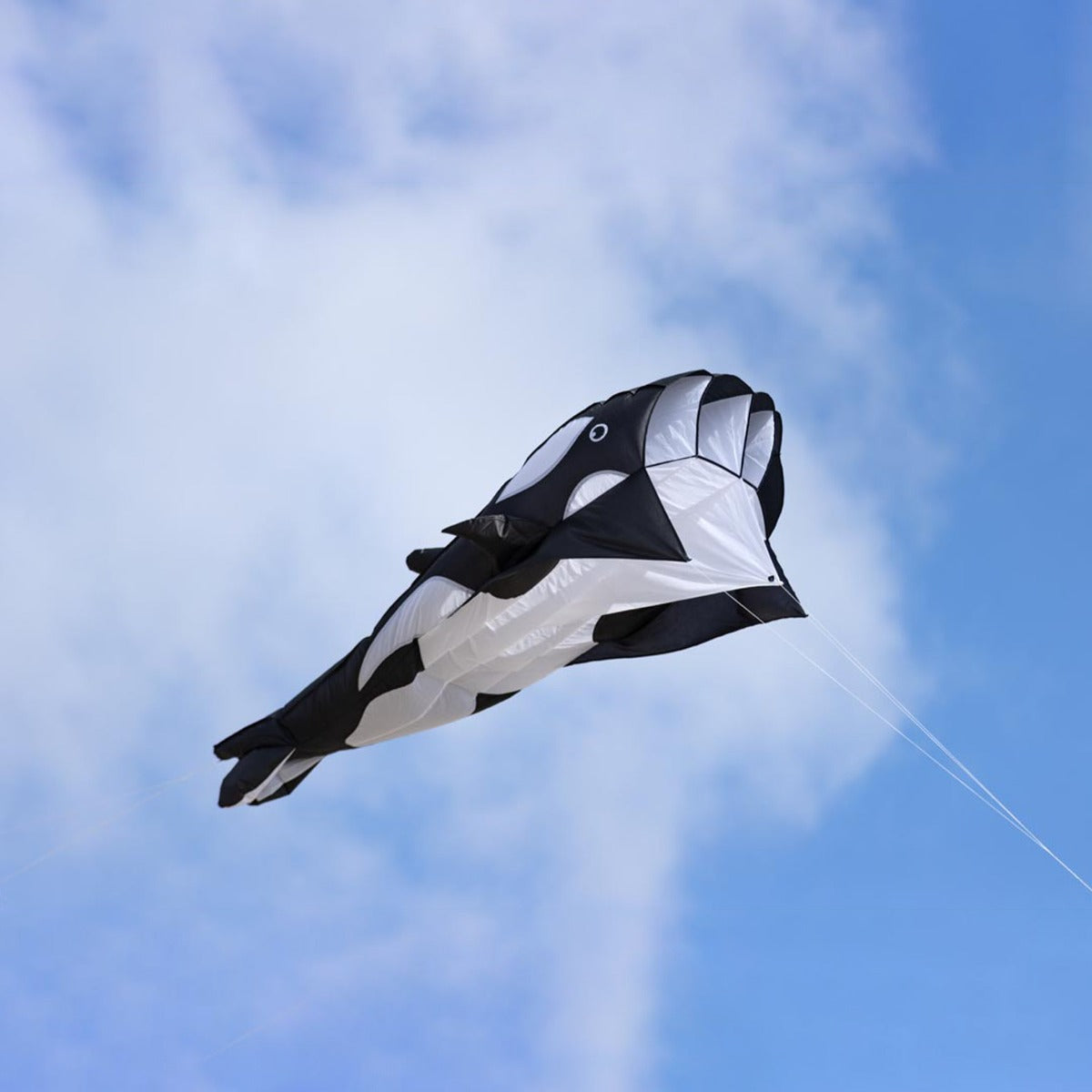 Kinderdrachen Einleiner HQ Parafoil Kite Orca Drachen