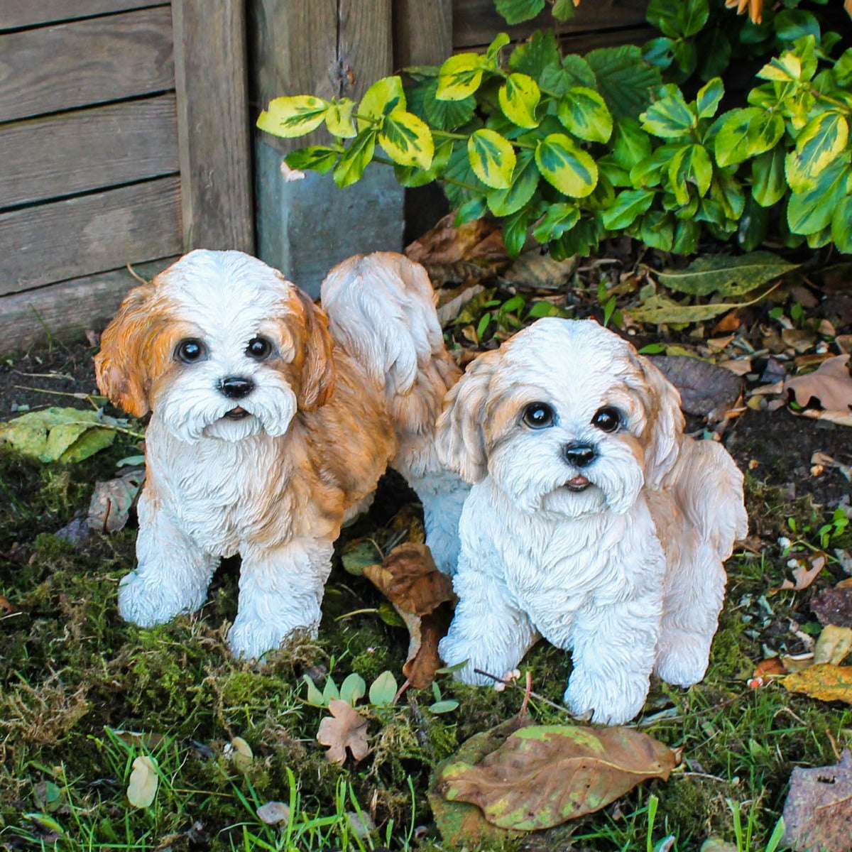 Hunde Figur Shih Tzu Welpe stehend Hund Tierfigur Hundefigur