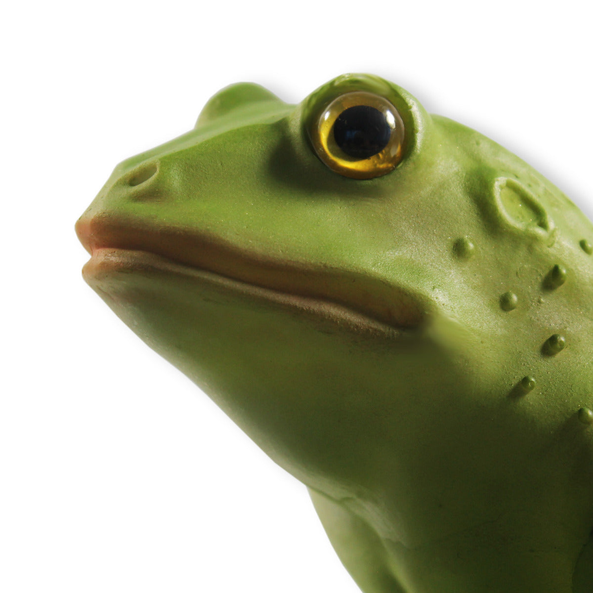 Vogeltränke Frosch Tränke Futterstelle Wildtiere Vogelbad