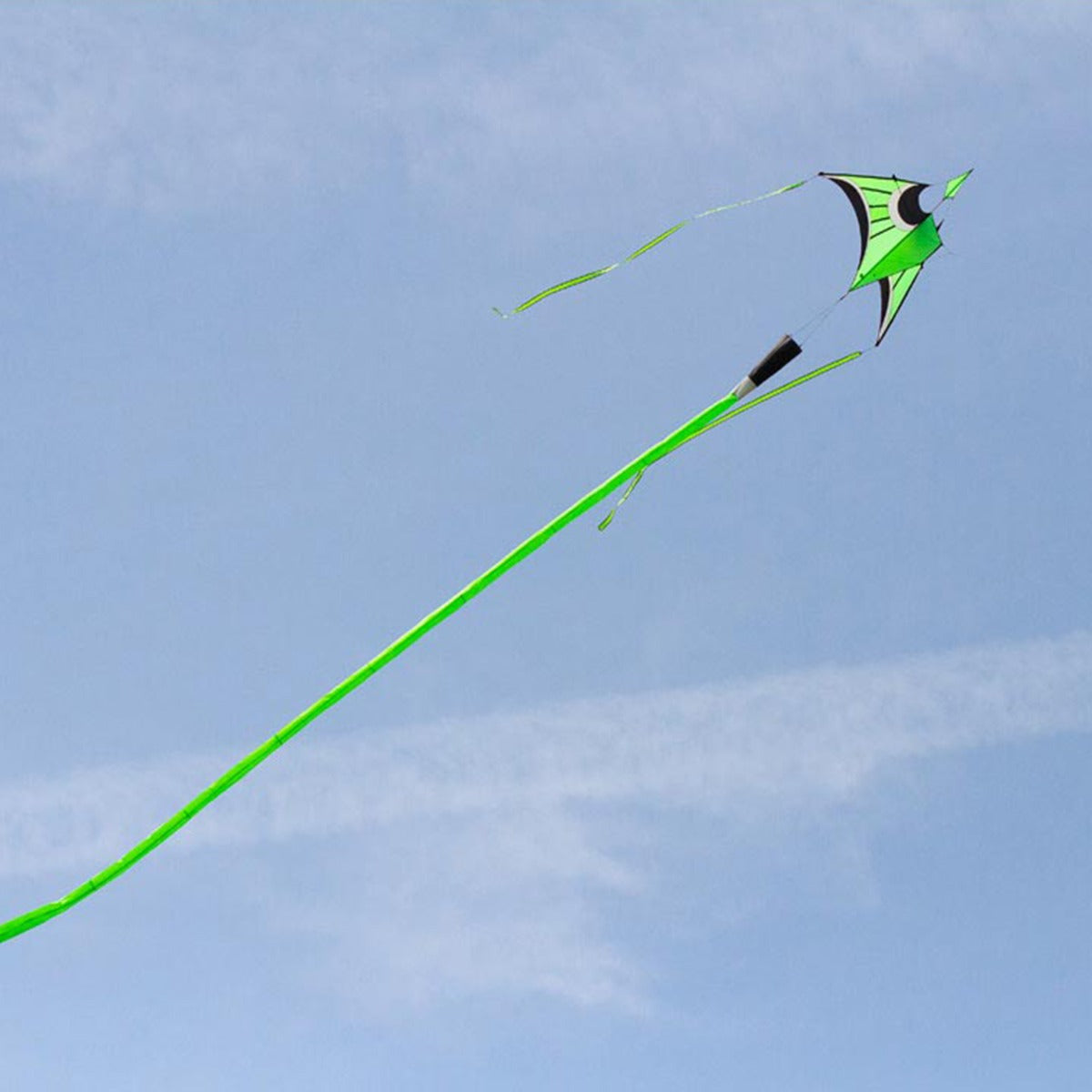 Kinderdrachen Einleiner Drachen HQ Hoffmanns Canard Delta Lime Flugdrache