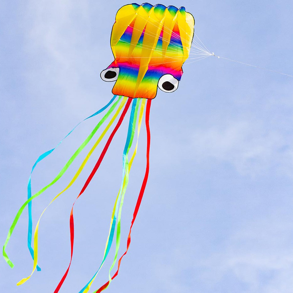 Kinderdrachen Einleiner Drachen HQ Rainbow Octopus Flugdrachen