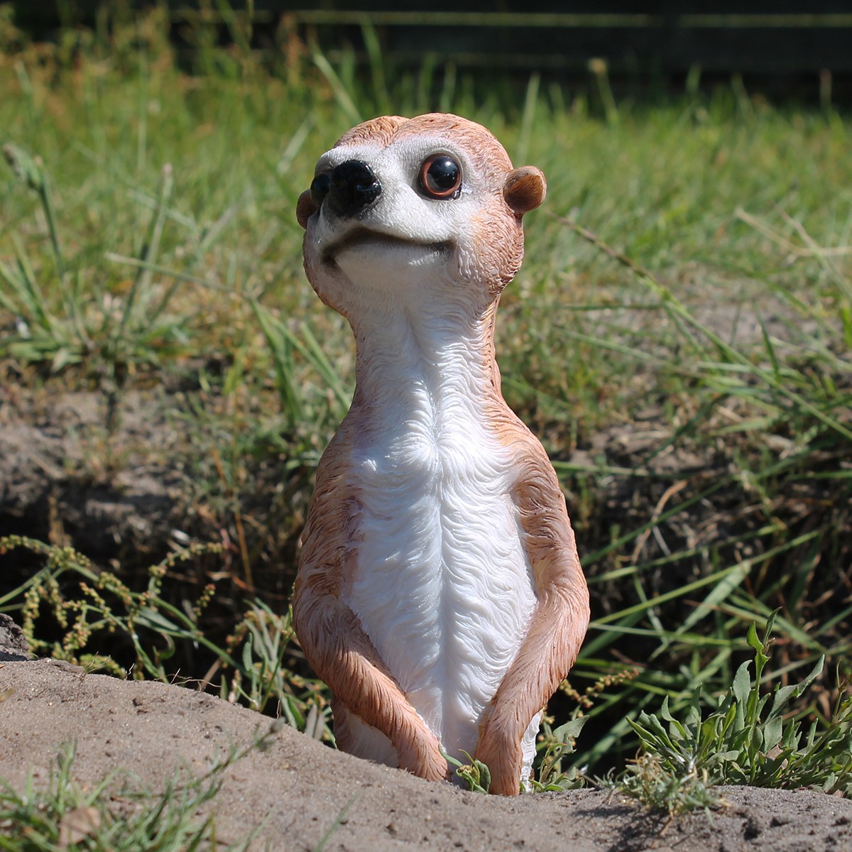 Erdmännchen Figur neugierig guckend Erdmännchen Gartenfigur 20 cm Erdmännchen Deko