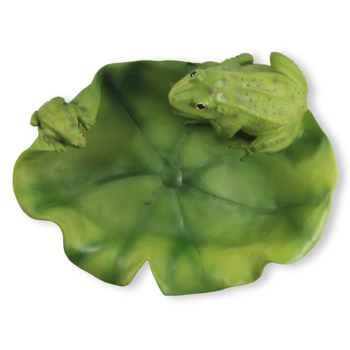 Vogeltränke Frosch Tränke Futterstelle Wildtiere Vogelbad