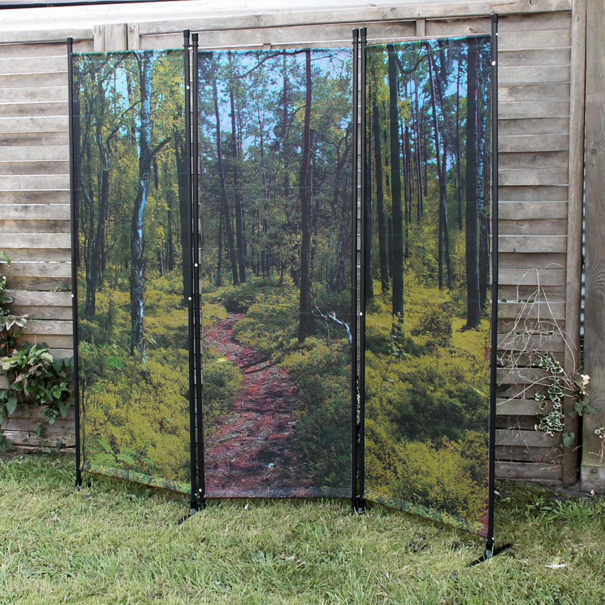 Paravent mit Fotodruck WALD Spanische Wand Raumteiler Trennwand Zimmer