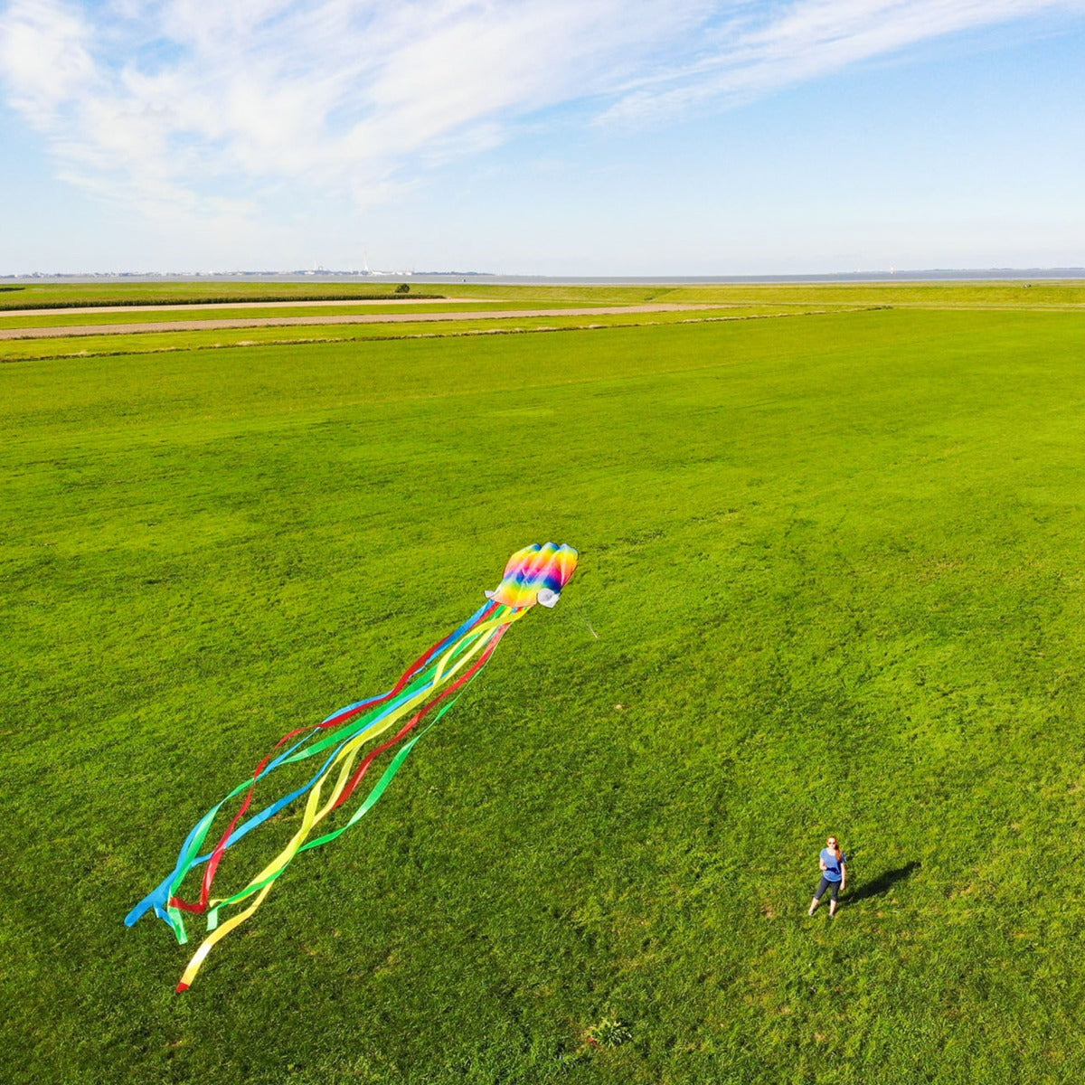 Kinderdrachen Einleiner Drachen HQ Rainbow Octopus Flugdrachen