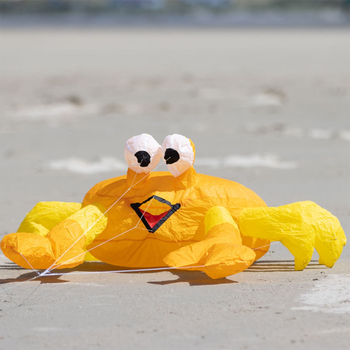 Bodenwindspiel HQ Bouncing Buddy Billy the Crab bunte Windspiele für den Garten oder Strand