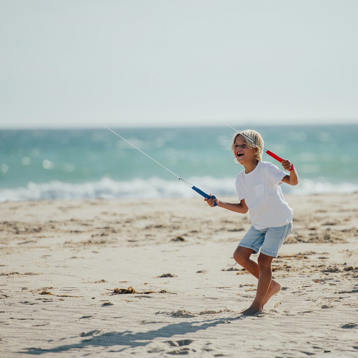 CrossKites Lenkmatte Rio 2.1 Rainbow R2F Allround Lenkdrachen Kite