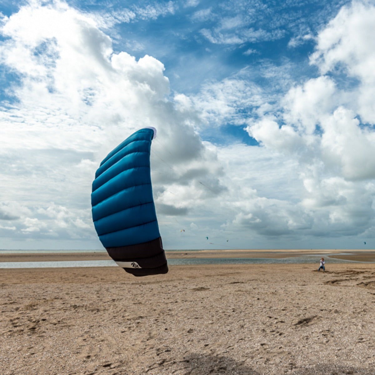 Lenkmatte Peter Lynn Hornet 5.0 Vierleiner Drachen Powerkite PLKB Hornet 5.0 Handles Lenkdrachen Kite