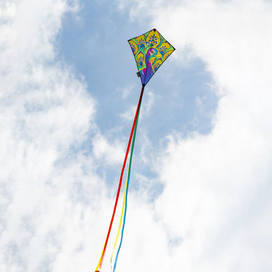 Kinderdrachen Einleiner Drachen HQ Eddy Peacock Pfau Flugdrachen