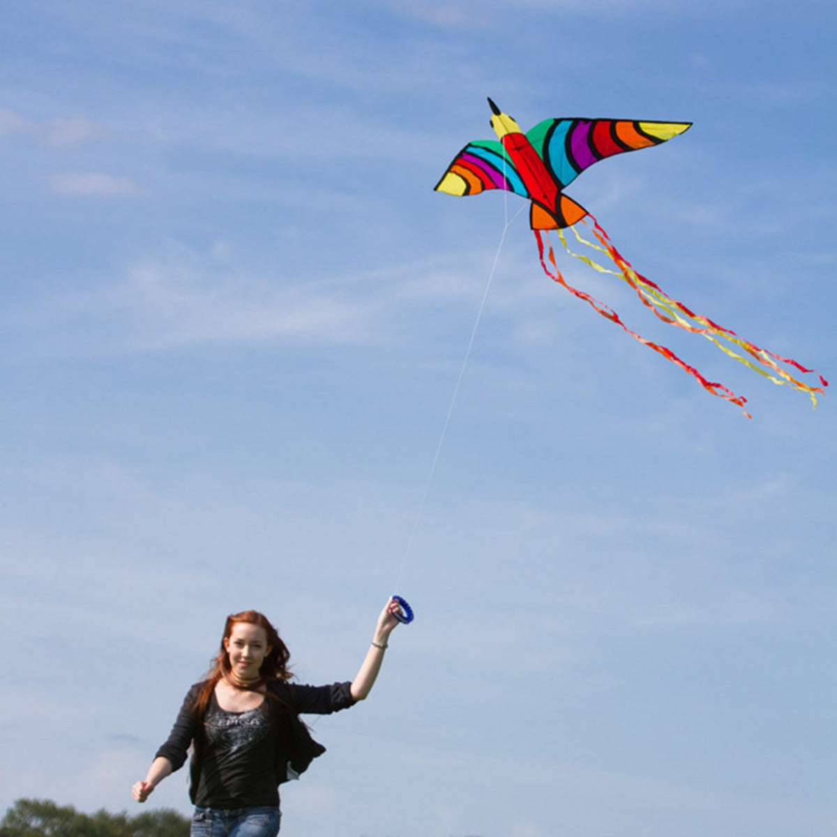 Kinderdrachen Einleiner Tropical Bird HQ Drachen