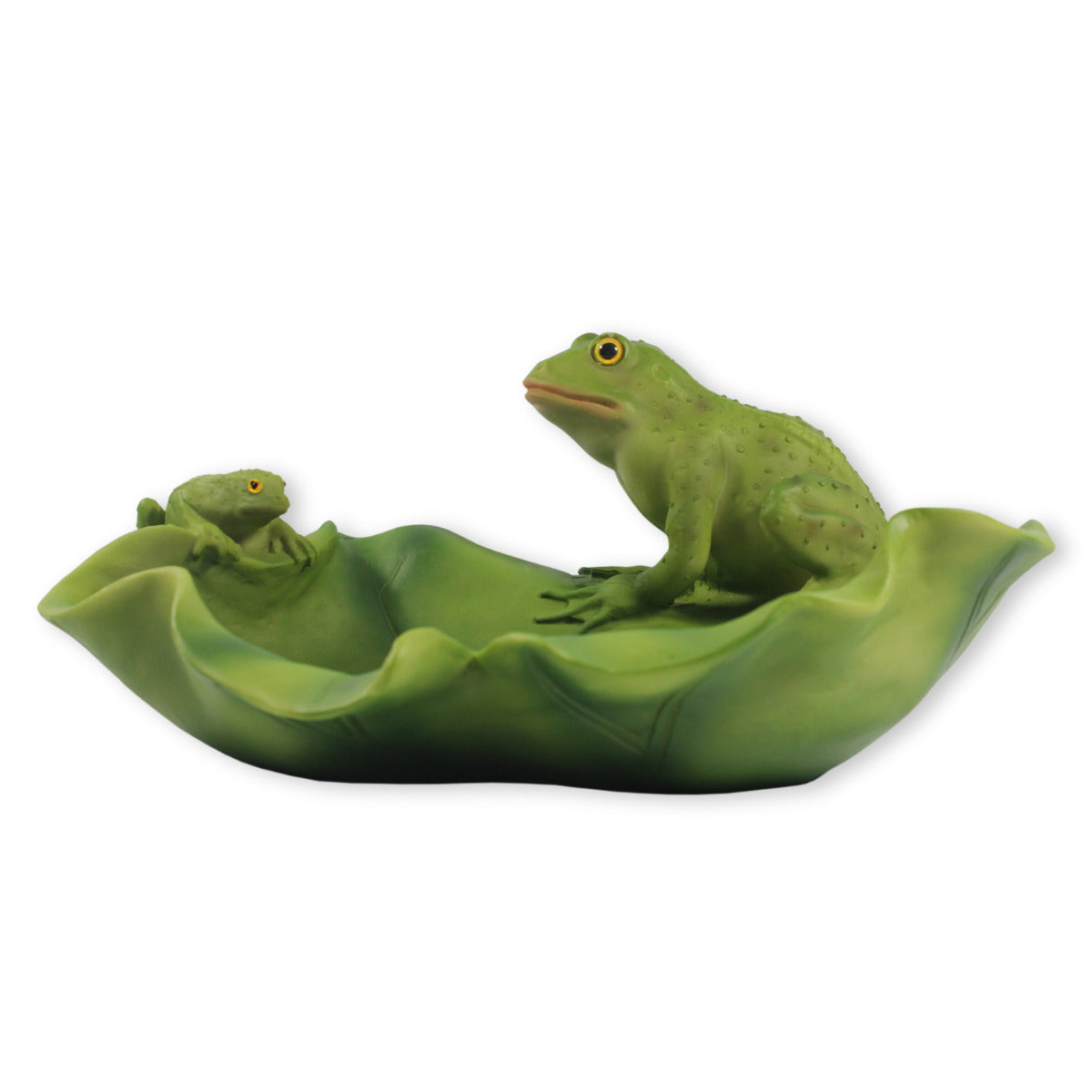 Vogeltränke Frosch Tränke Futterstelle Wildtiere Vogelbad