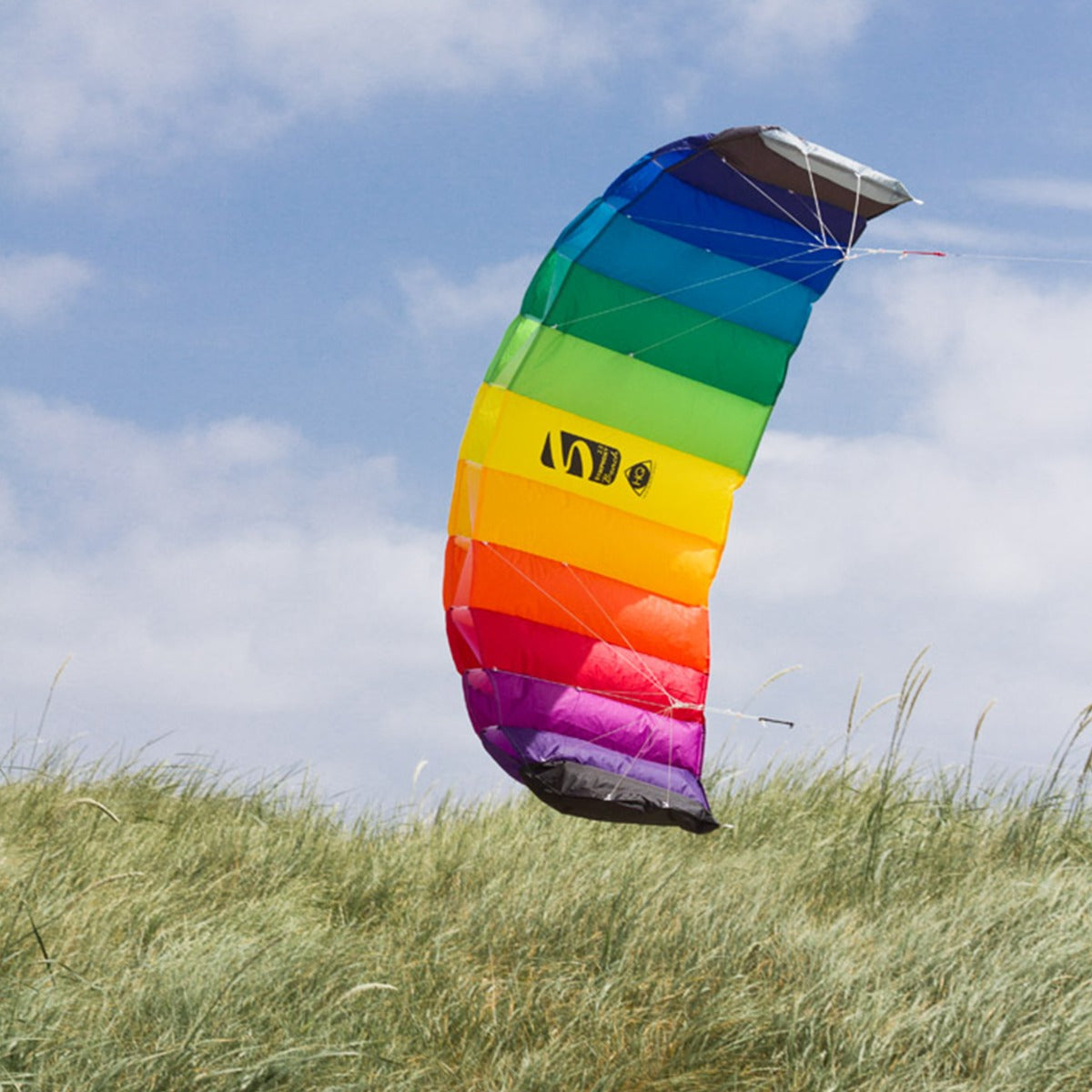 HQ Lenkmatte Symphony Beach III 2.5 Rainbow R2F Allround Lenkdrachen Kite