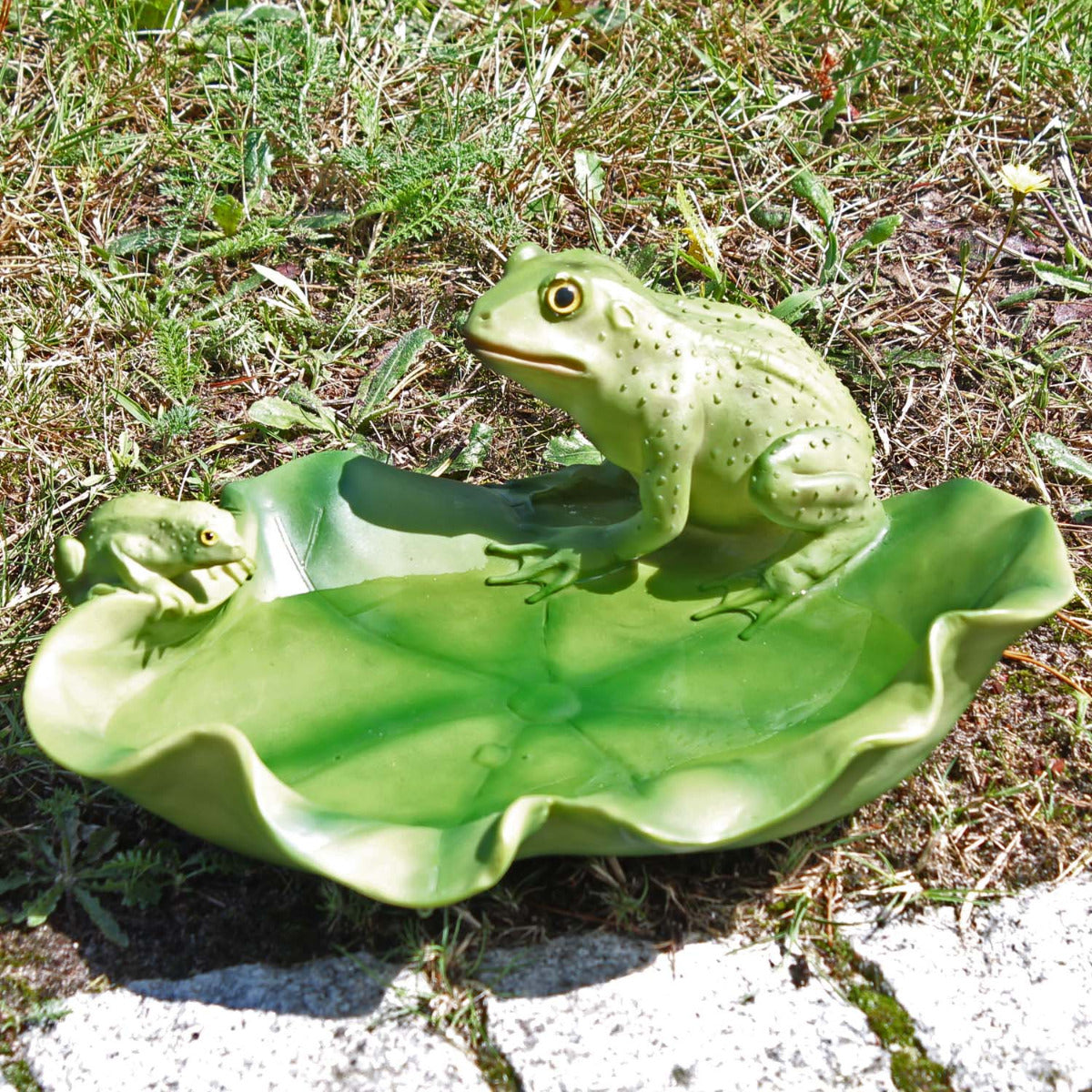 Vogeltränke Frosch Tränke Futterstelle Wildtiere Vogelbad
