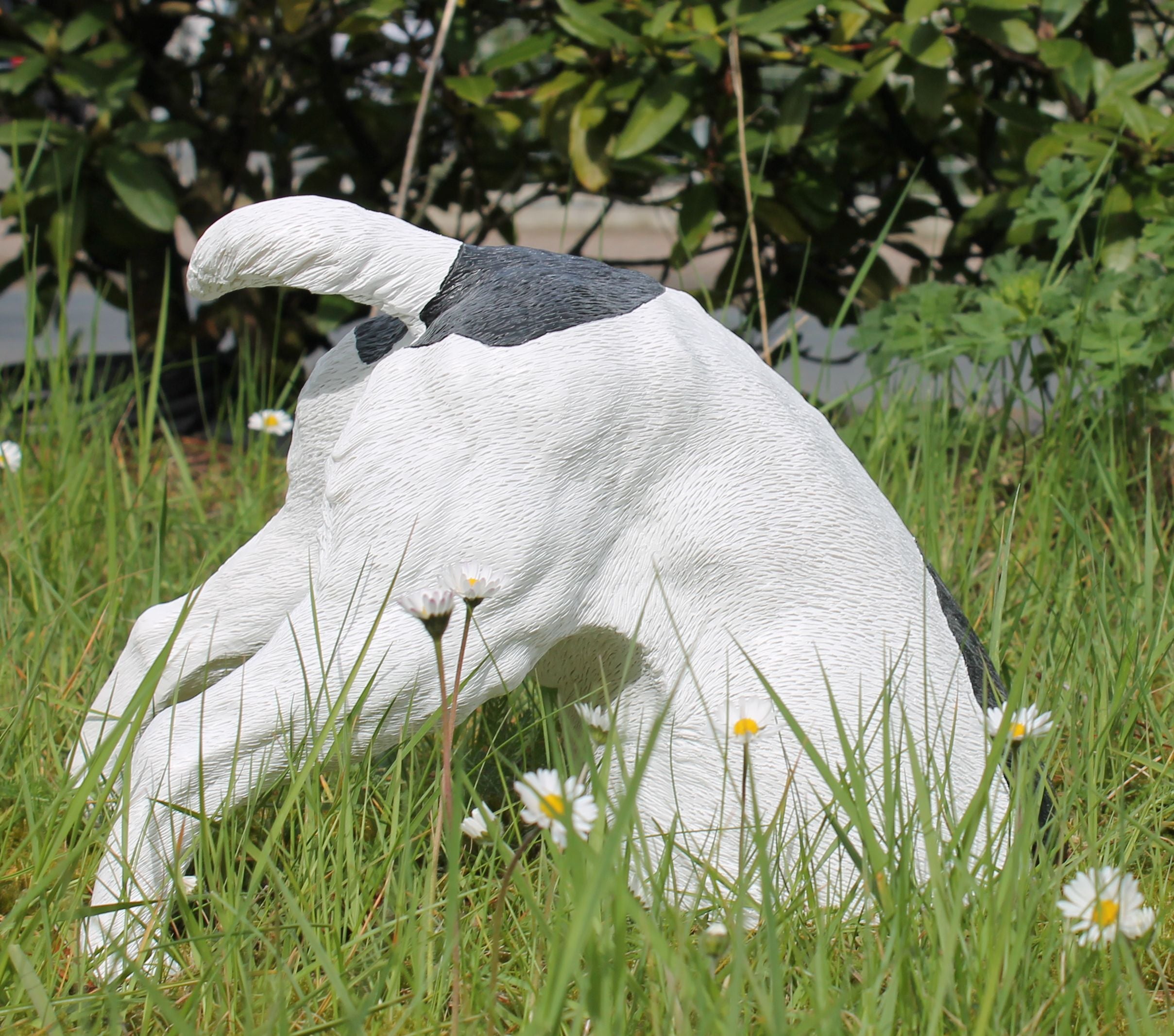 Dekofigur Hund Halber Hund grabend, Jack Russel Terrier Garten Hundefigur