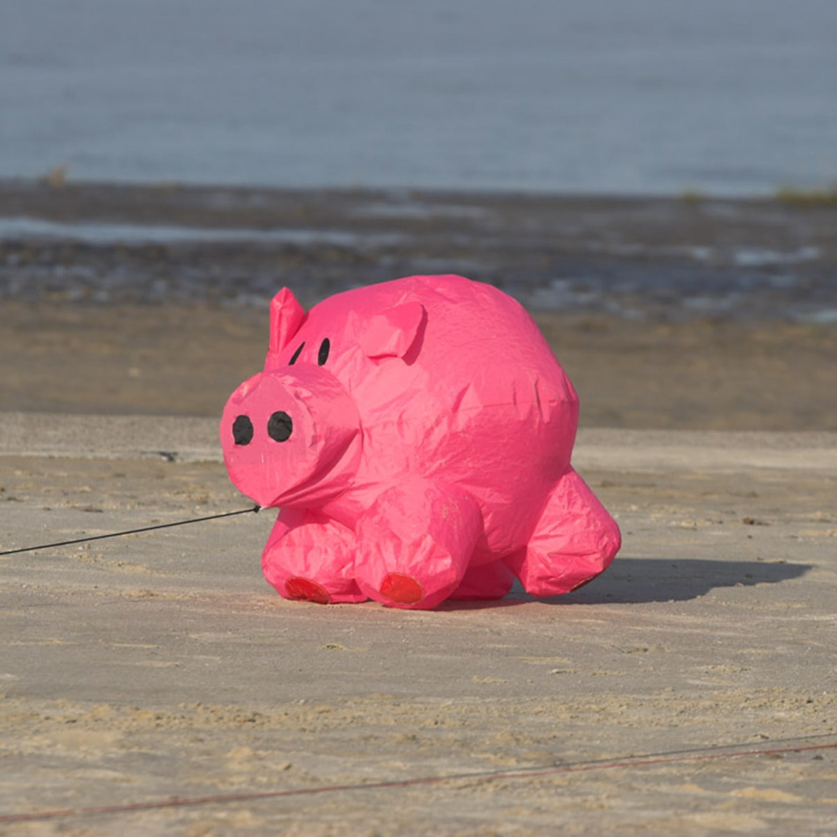 Bodenwindspiel HQ Bouncing Buddy "Porky" bunte Windspiele für den Garten oder Strand