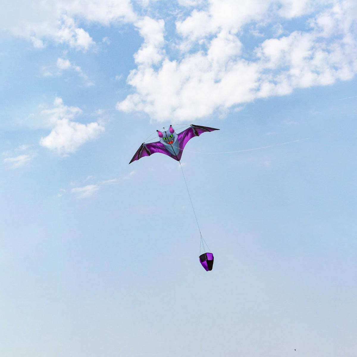 Kinderdrachen Einleiner Dark Fang Bat Fledermaus HQ Drachen