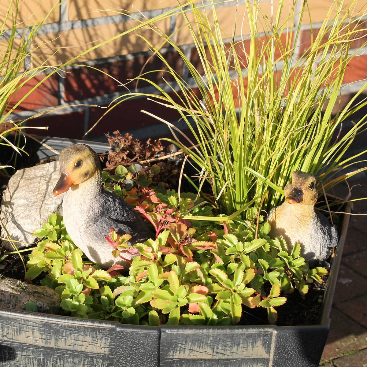 Enten Figur 3er Set sitzend Deko Enten Garten Bauernhof Tierfigur Gartenfigur Entchen