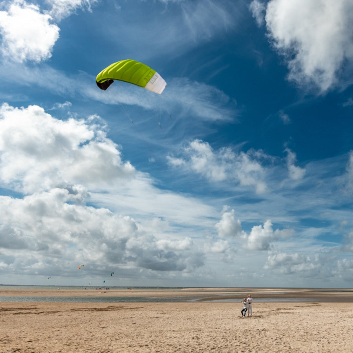 Lenkmatte Peter Lynn Hornet 3.0 Vierleiner Drachen Powerkite PLKB Hornet 3.0 Handles Lenkdrachen Kite