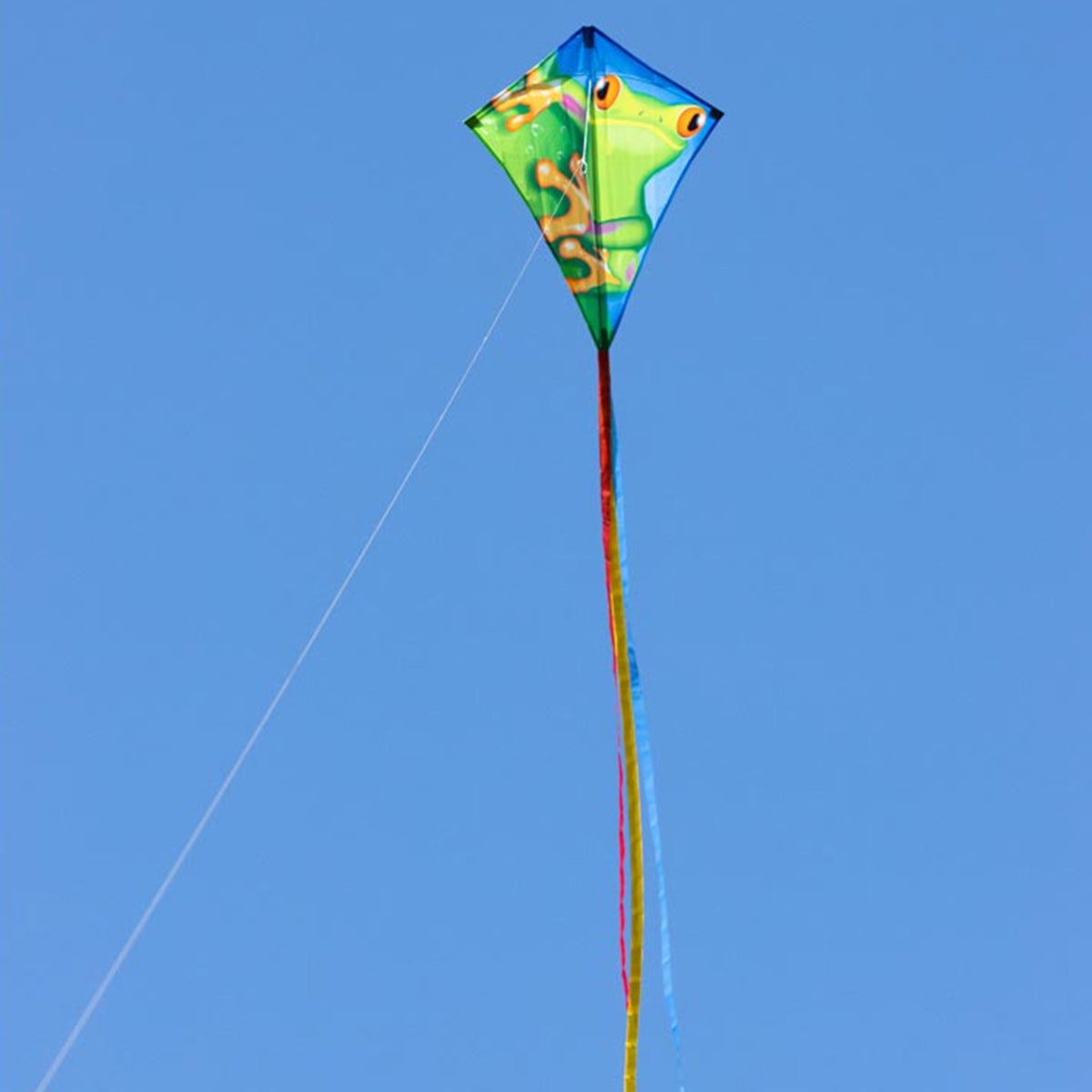 Kinderdrachen Einleiner Drachen HQ Eddy Froggy 70 cm Flugdrachen