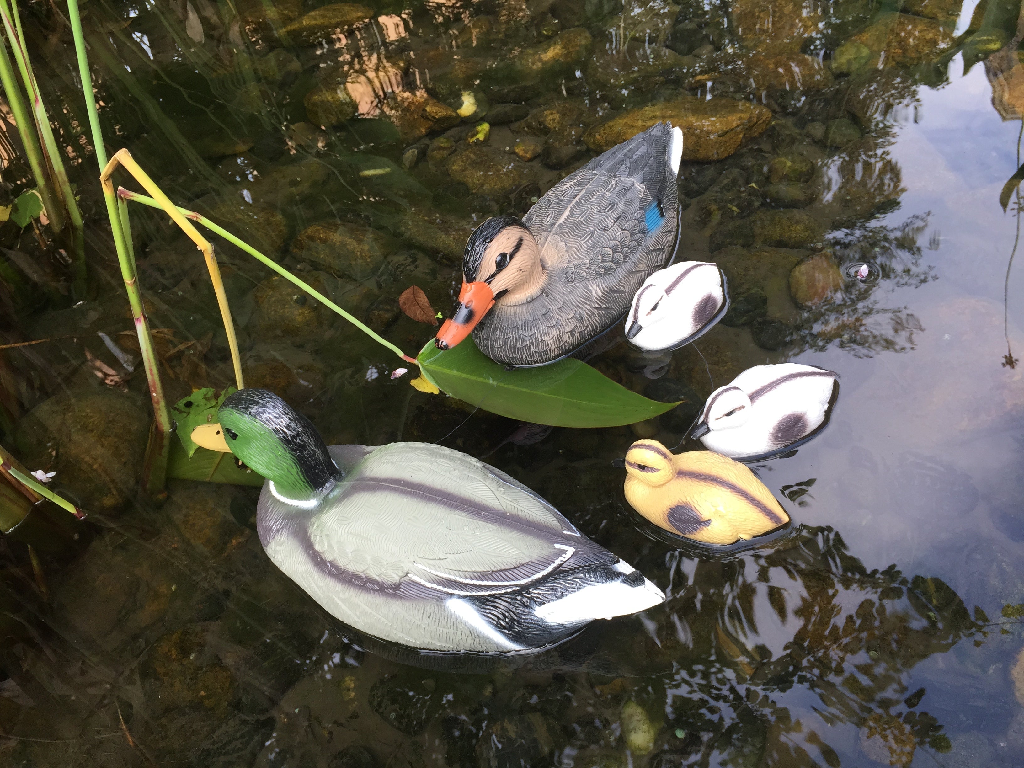 Schwimm Ente Schwimmenten-Familie Stockente Gartenfigur Teichfigur Entenfigur Schwimmfigur