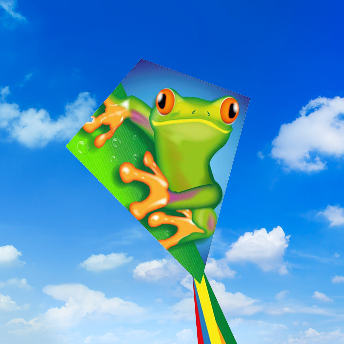 Kinderdrachen Einleiner Drachen HQ Eddy Froggy 70 cm Flugdrachen