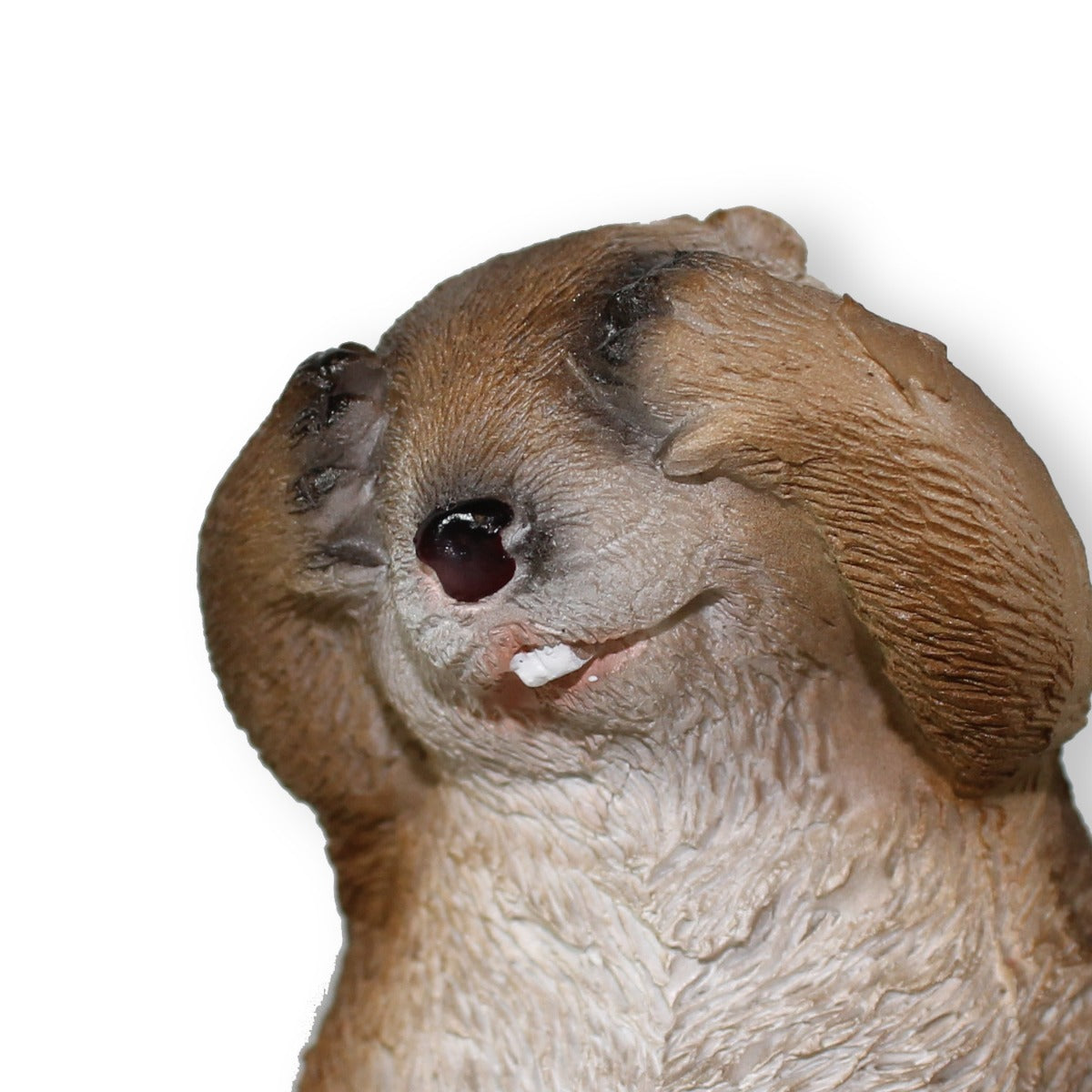 Willkommensschild 3 Biber Eingangsschild Willkommen Schild Haustür