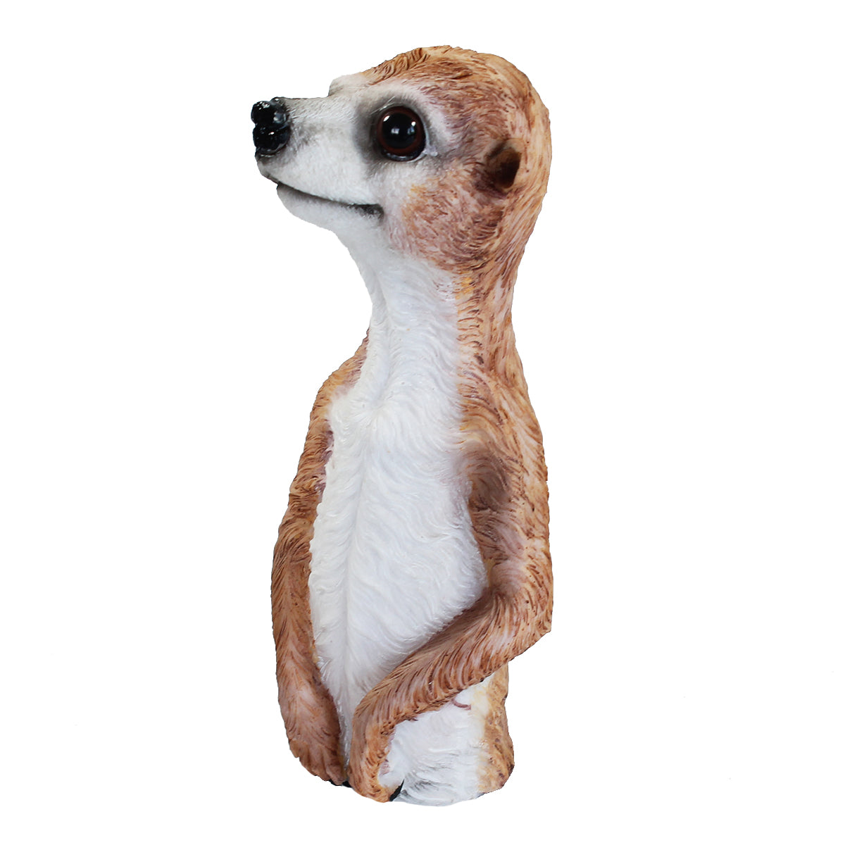 Erdmännchen Figur neugierig guckend Erdmännchen Gartenfigur 20 cm Erdmännchen Deko