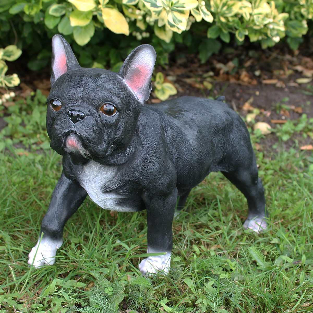 Hunde Figur Französische Bulldogge Figur stehend schwarz lebensechte Hundefigur