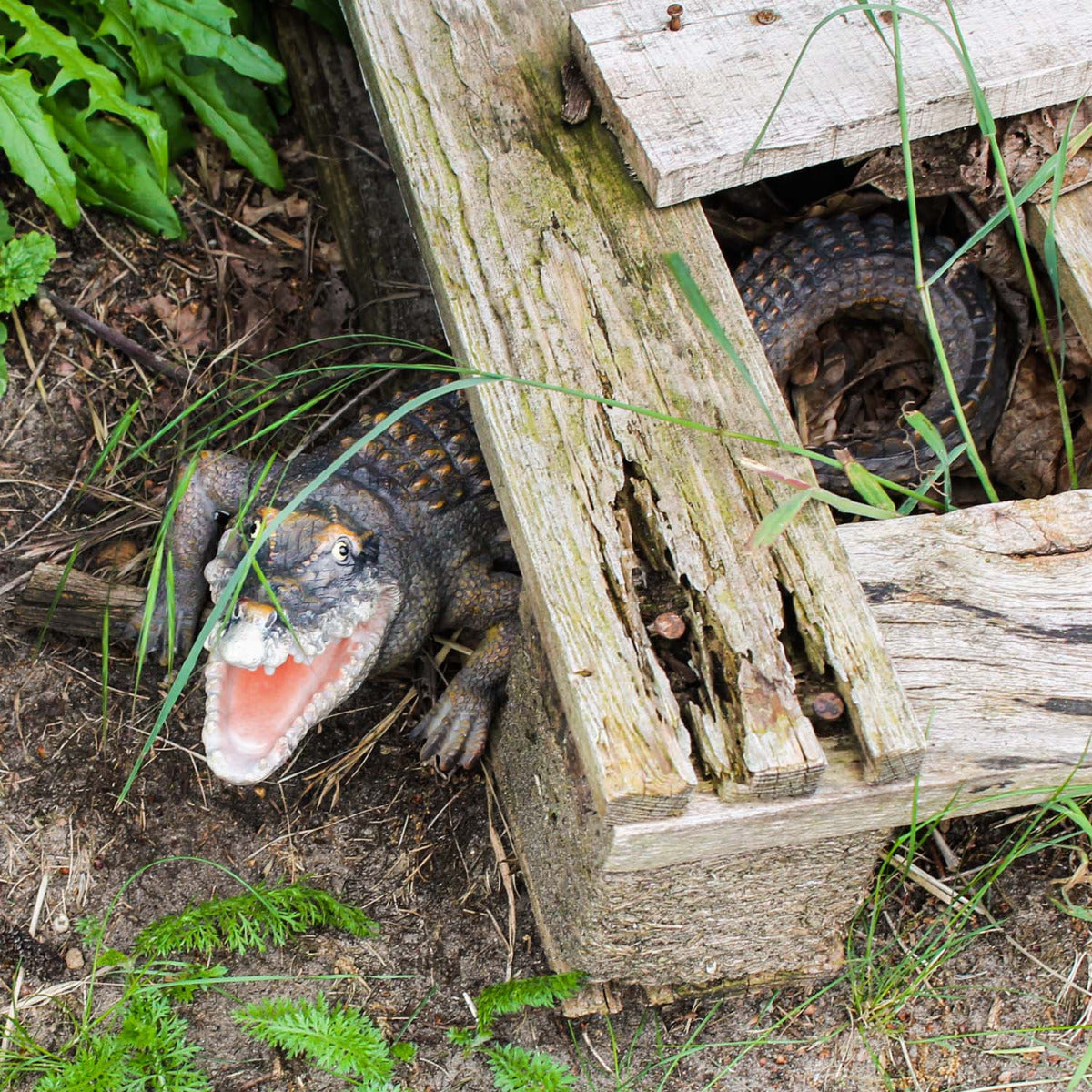 Krokodil Figur Tierfigur Tierfigur Reptil Dekofigur Gartenfigur 37cm