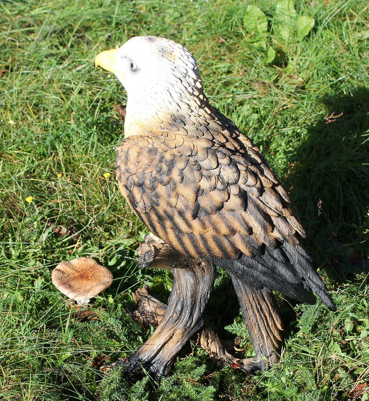 Dekofigur Weißkopfseeadler Greifvogel Höhe 50 cm Tierfigur Gartenfigur Vogeldeko Gartendeko