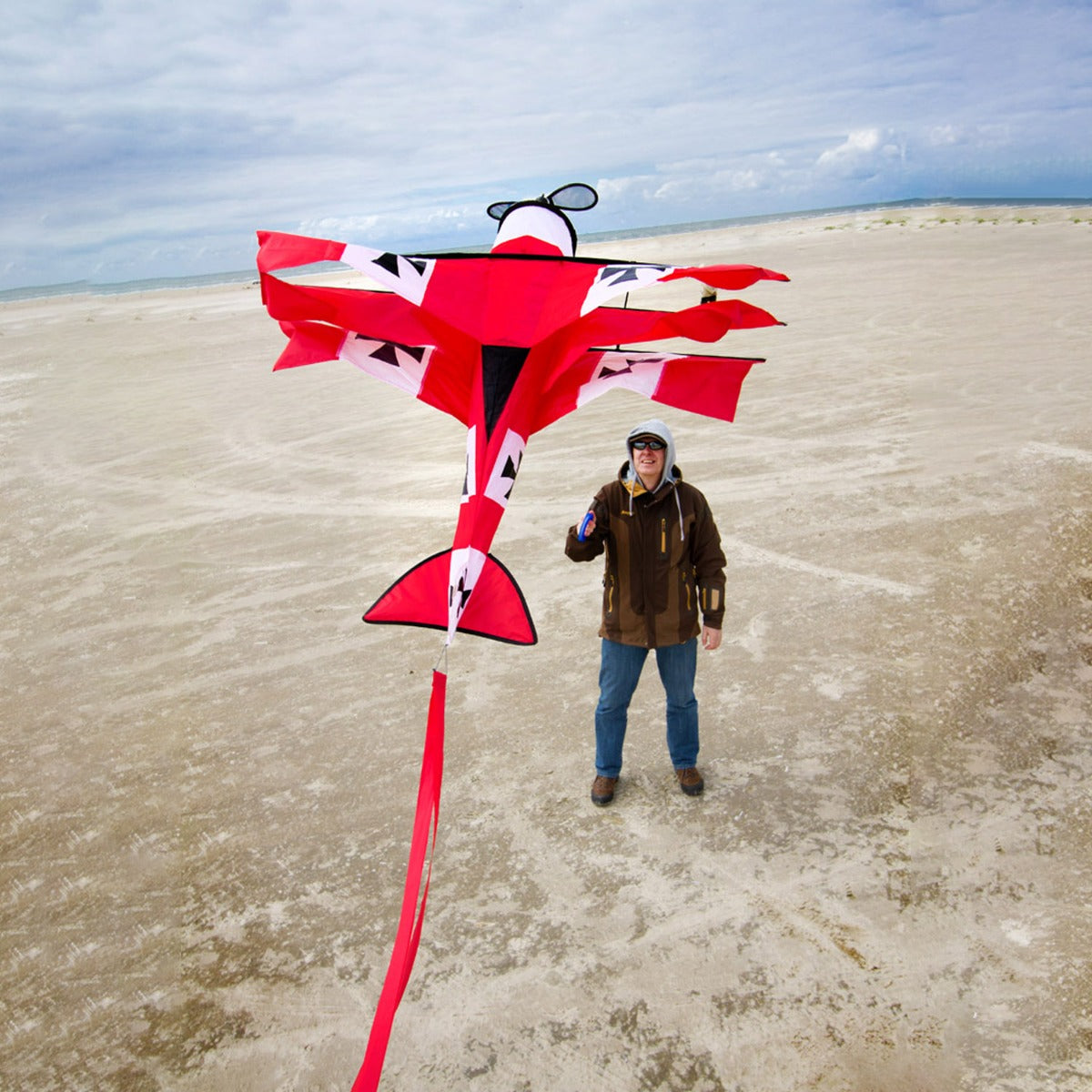 Kinderdrachen Einleiner Red Baron 3D Flugzeug HQ Drachen