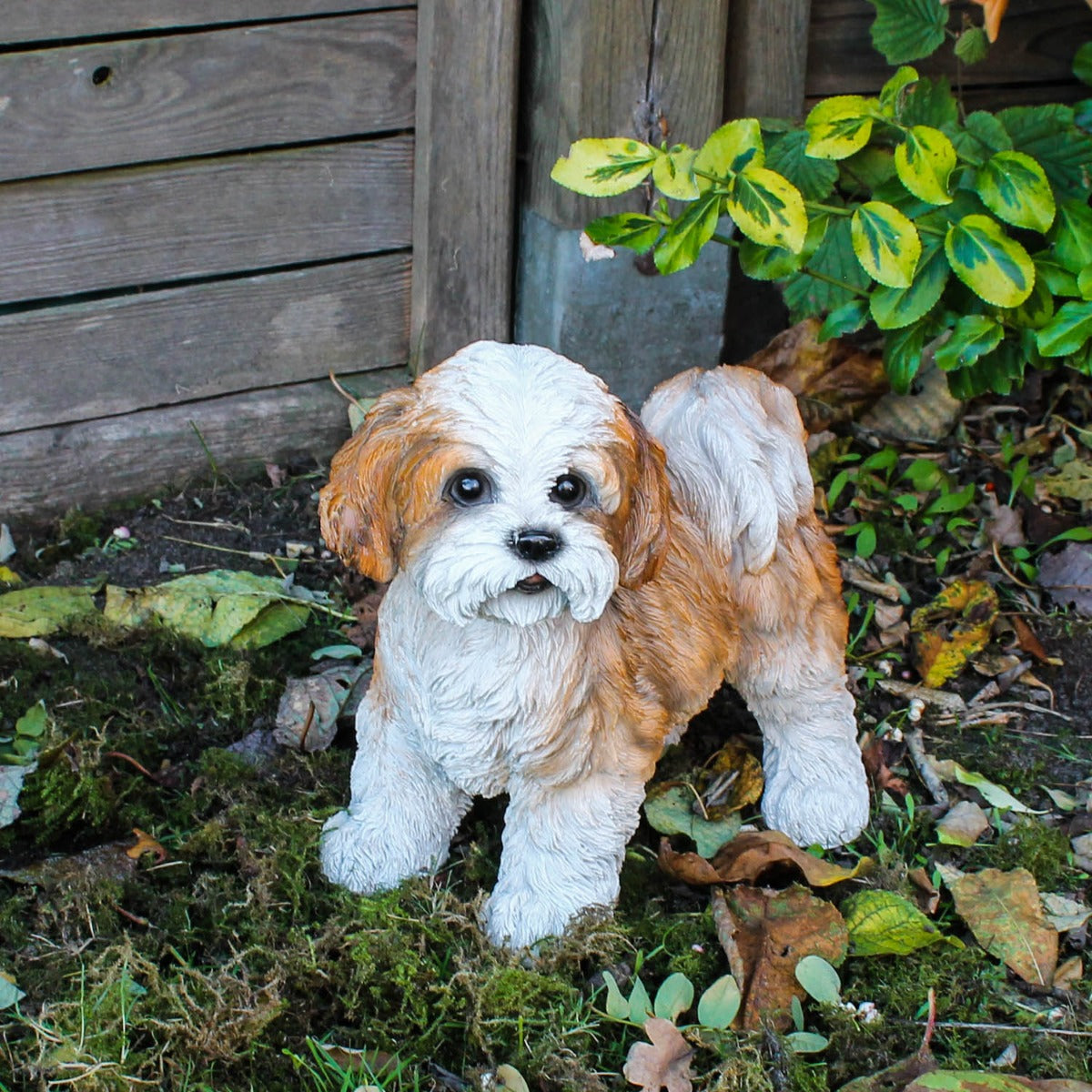 Hunde Figur Shih Tzu Welpe stehend Hund Tierfigur Hundefigur