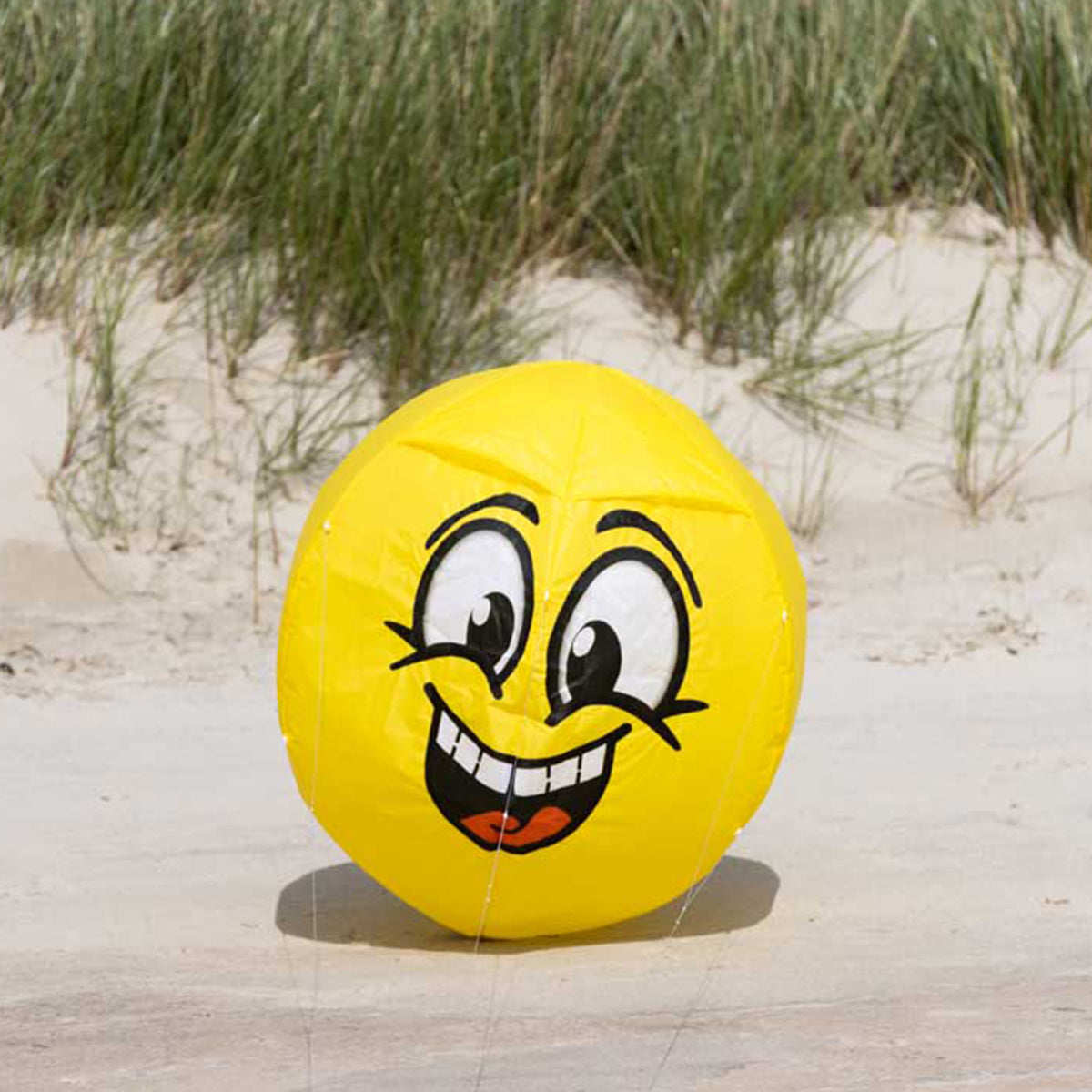 Bodenwindspiel HQ Bouncing Moodeez Happy bunte Windspiele für den Garten oder Strand