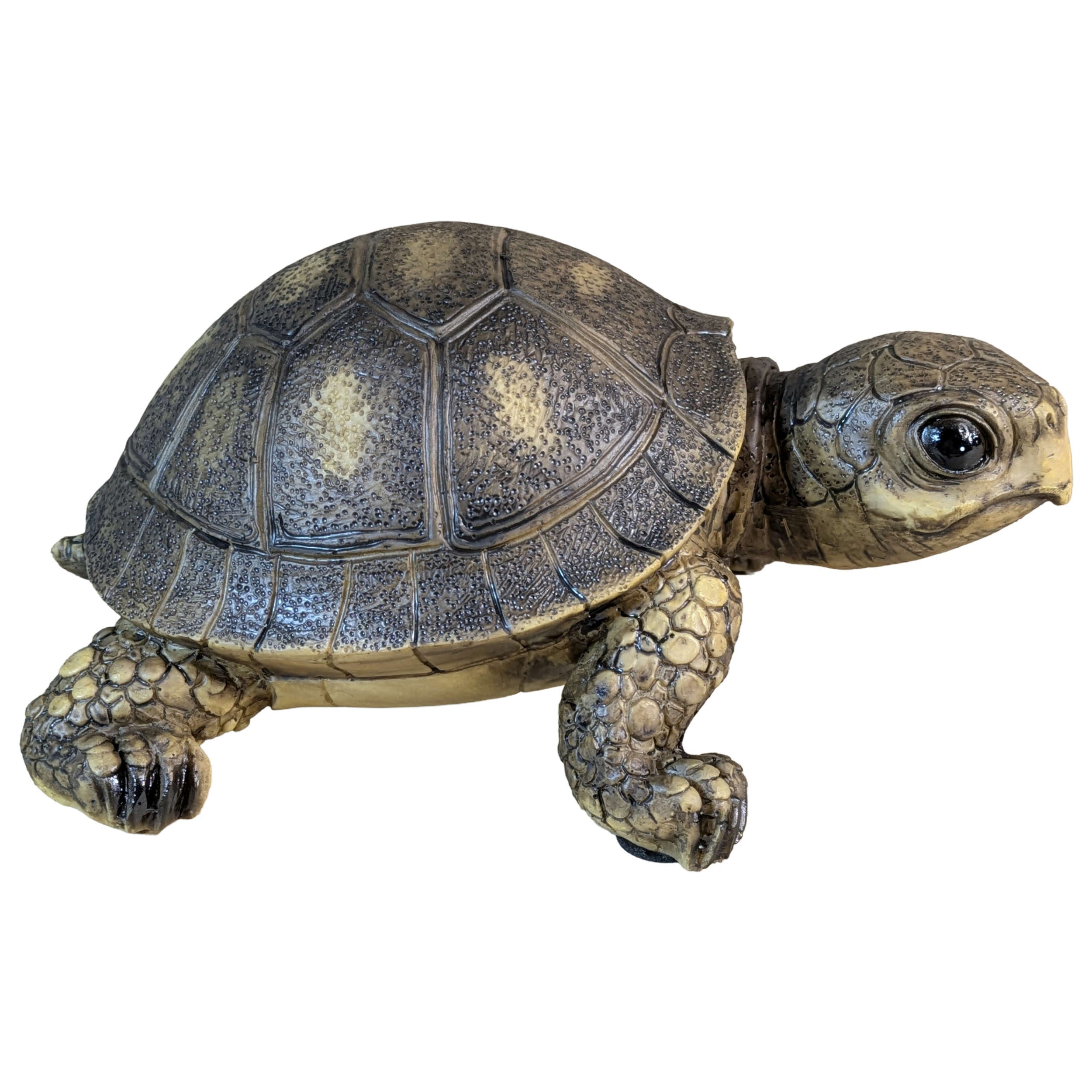 Schildkröte Figur realistisch Deko Schildkröte Garten Schildkröte Deko für Haus und Garten