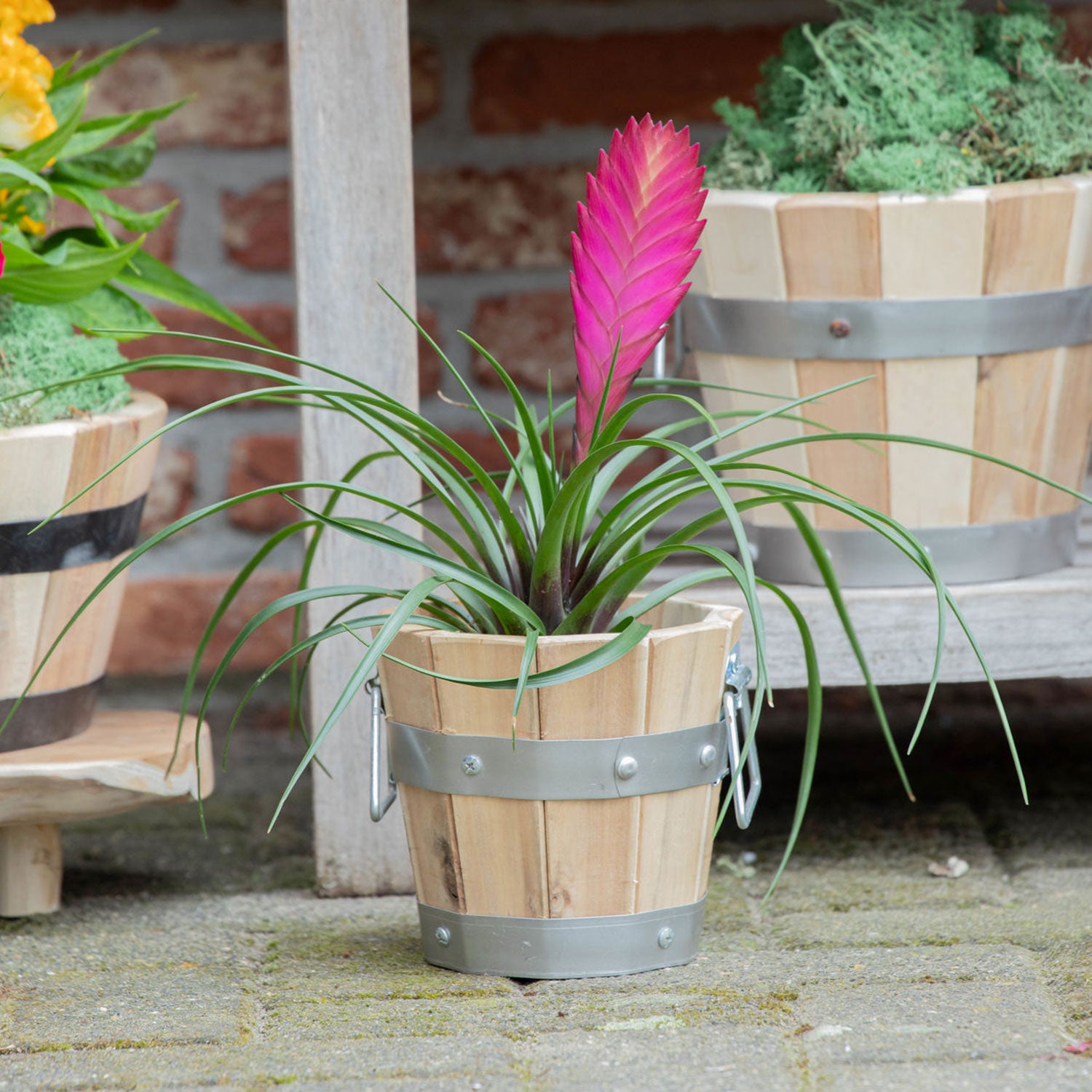 Pflanzkübel Holz mit Griffen | Pflanztopf rund FSC Akazienholz | Blumenkästen aus Holz | verschiedene Größen