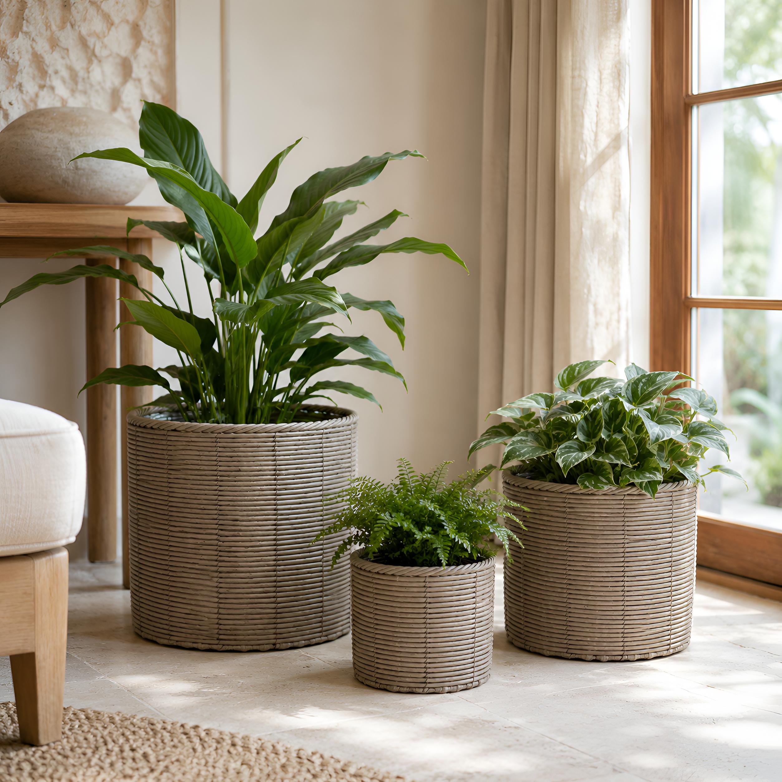 Blumentopf groß Rattan 3er Set Modell Gala, Pflanzkübel Indoor Übertopf Naturgrau