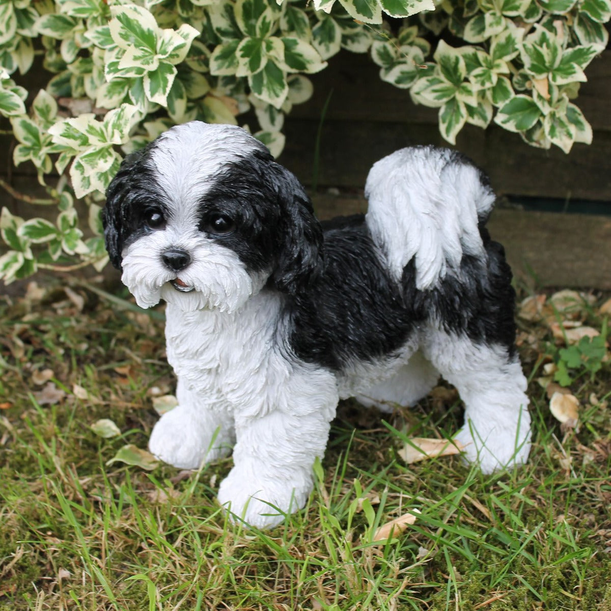 Hunde Figur Shih Tzu Welpe stehend schwarz-weiß Hund Tierfigur Hundefigur