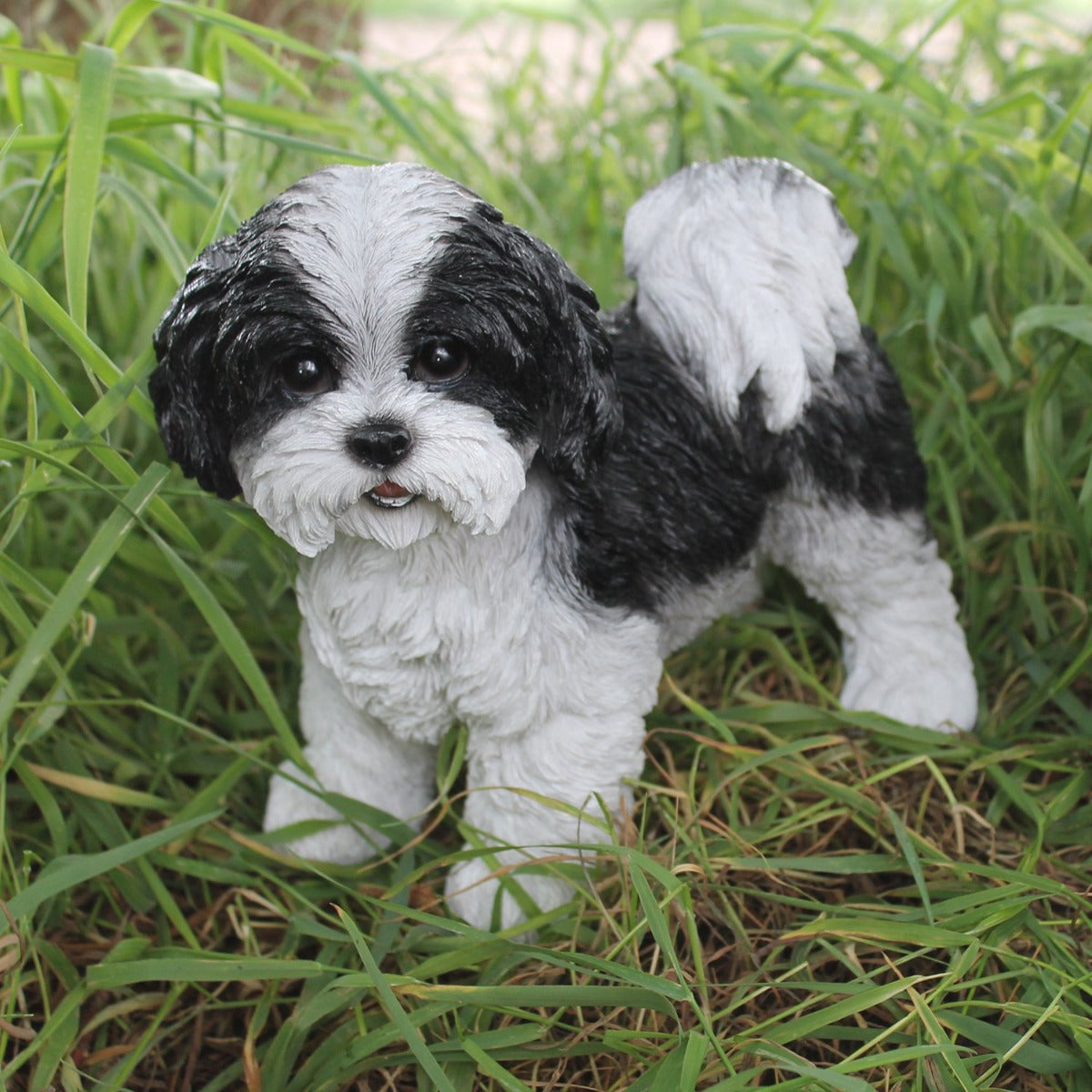 Hunde Figur Shih Tzu Welpe stehend schwarz-weiß Hund Tierfigur Hundefigur