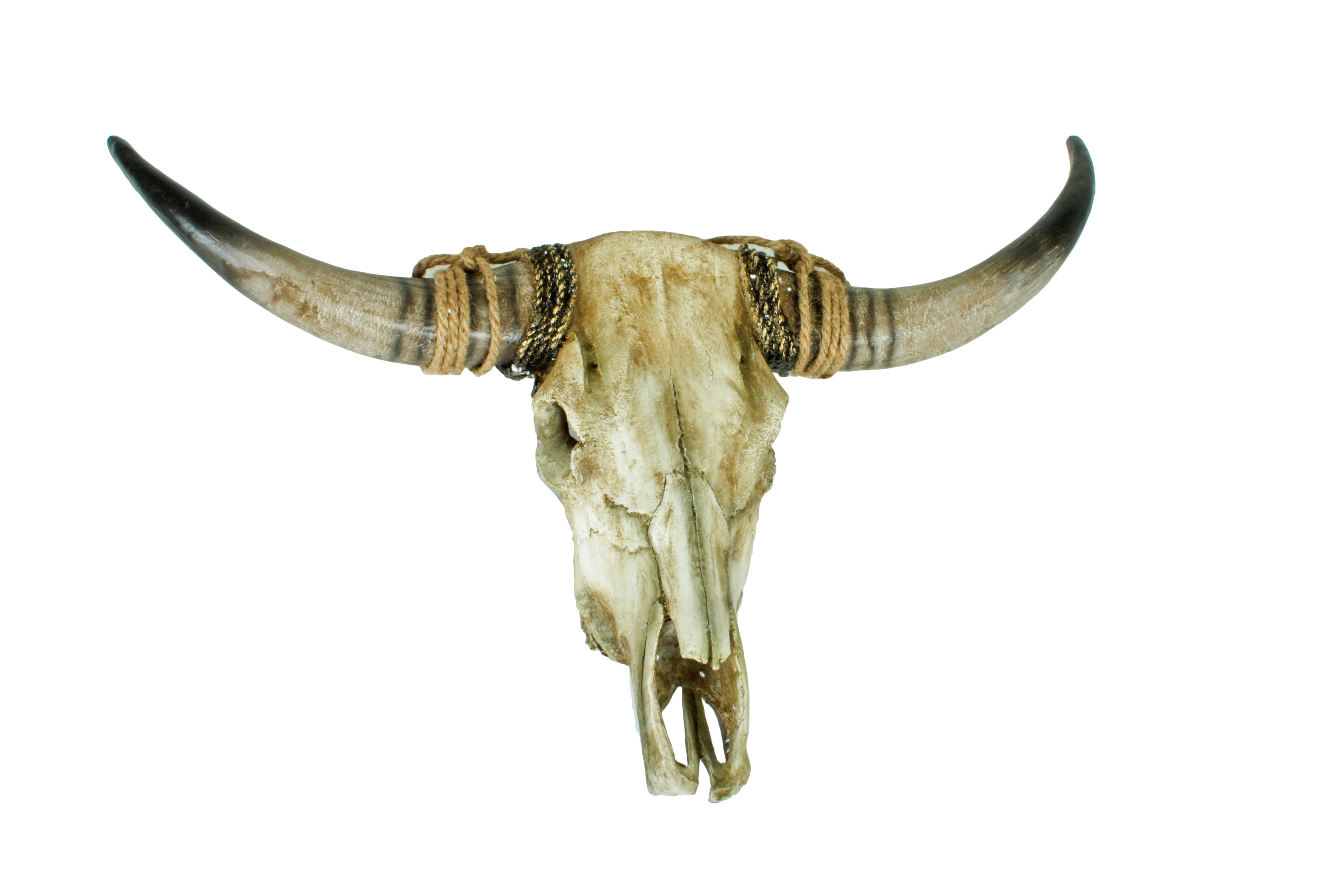 Geweih RIND Wandtrophäe Rinderschädel Wandschmuck rustikal Deco Pleasure