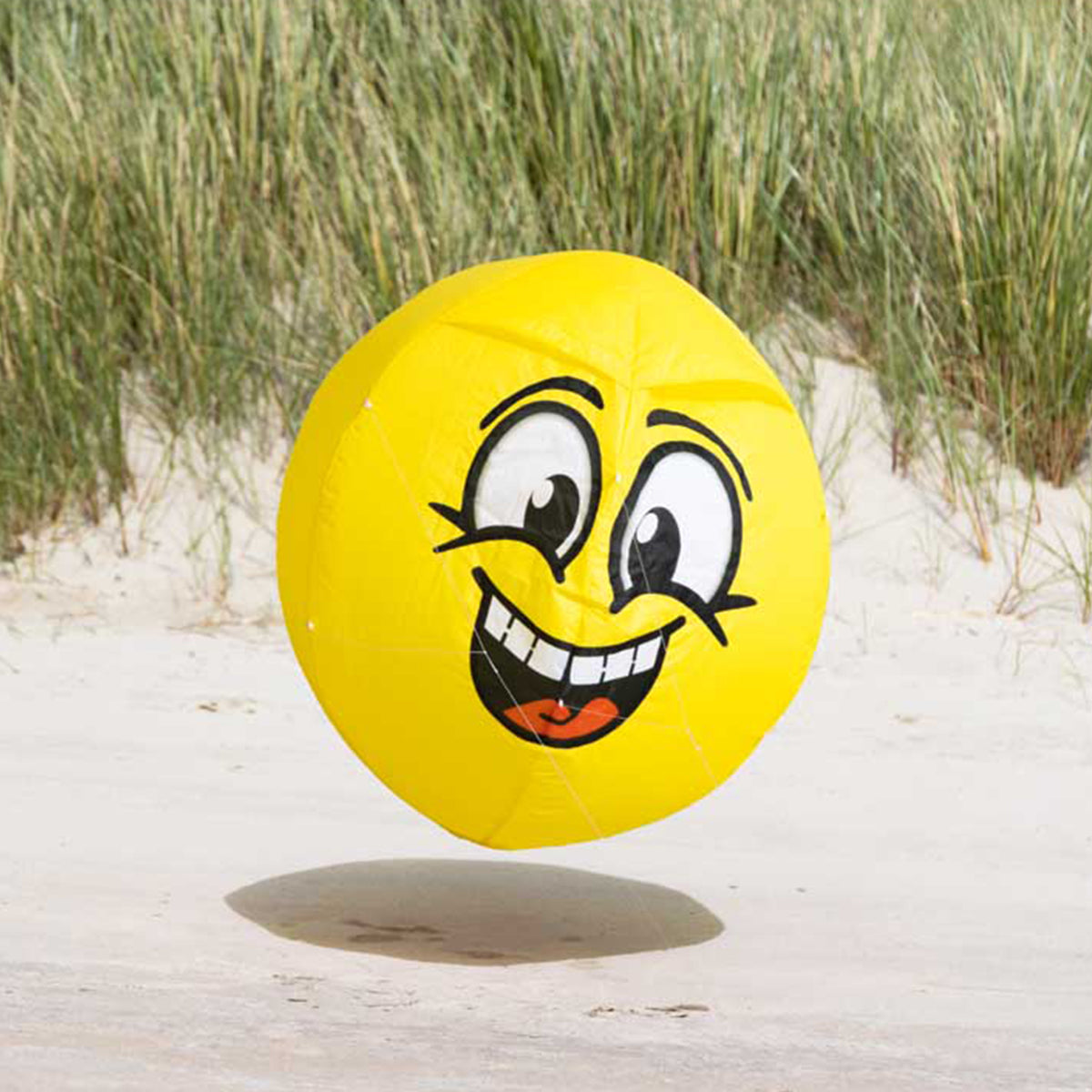 Bodenwindspiel HQ Bouncing Moodeez Happy bunte Windspiele für den Garten oder Strand
