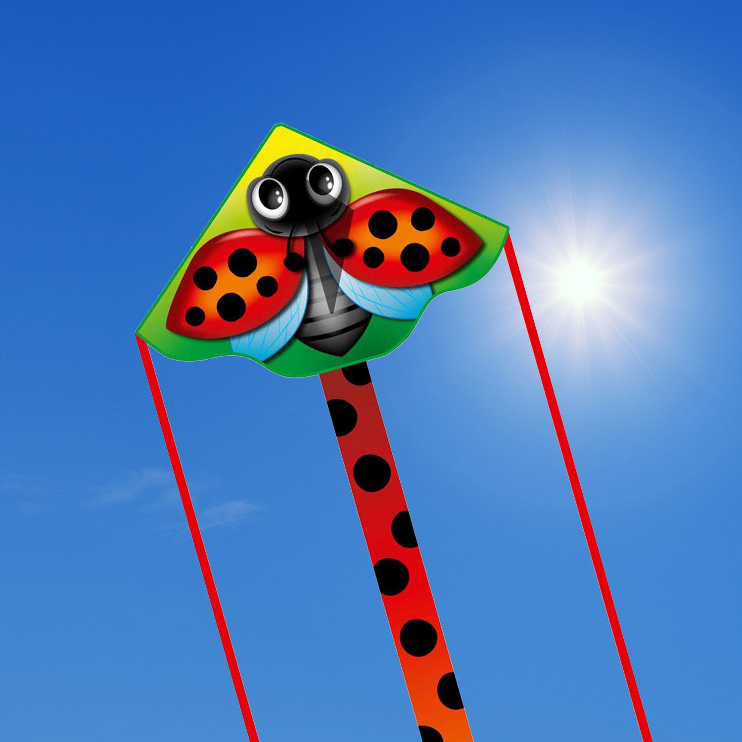 HQ Kinderdrachen Einleiner Simple Flyer Ladybug 120 cm