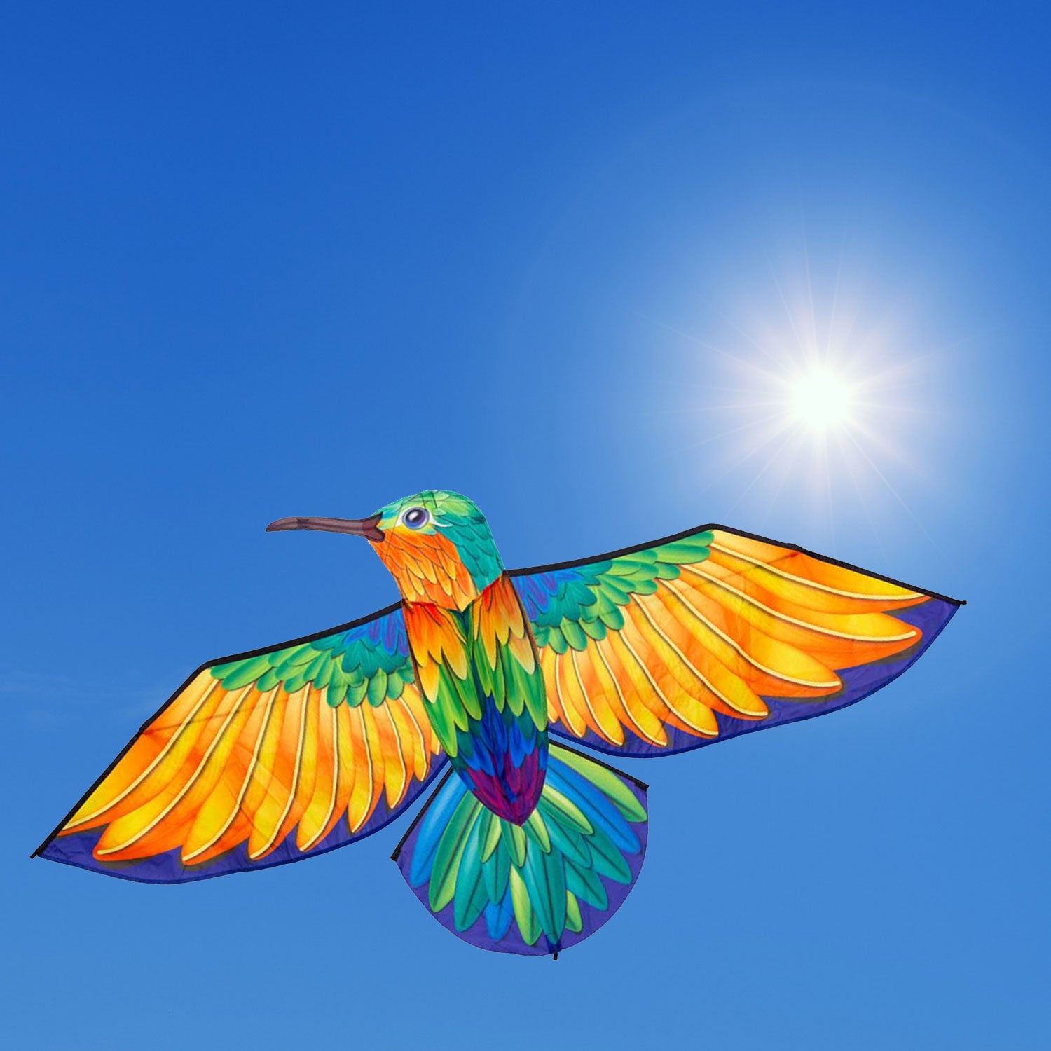 HQ Kinderdrachen Einleiner Bird Kite Hummingbird 175 cm