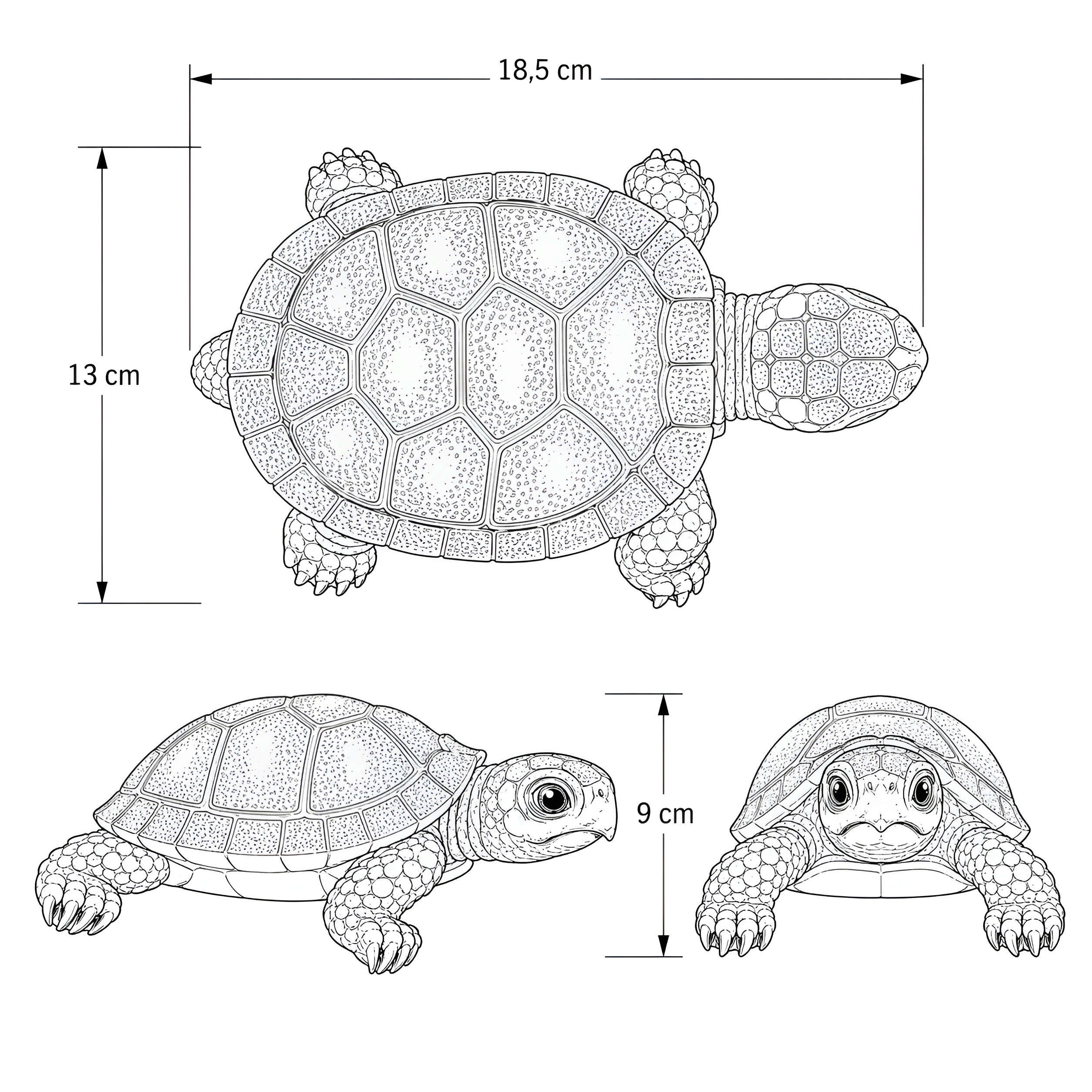 Schildkröte Figur realistisch Deko Schildkröte Garten Schildkröte Deko für Haus und Garten